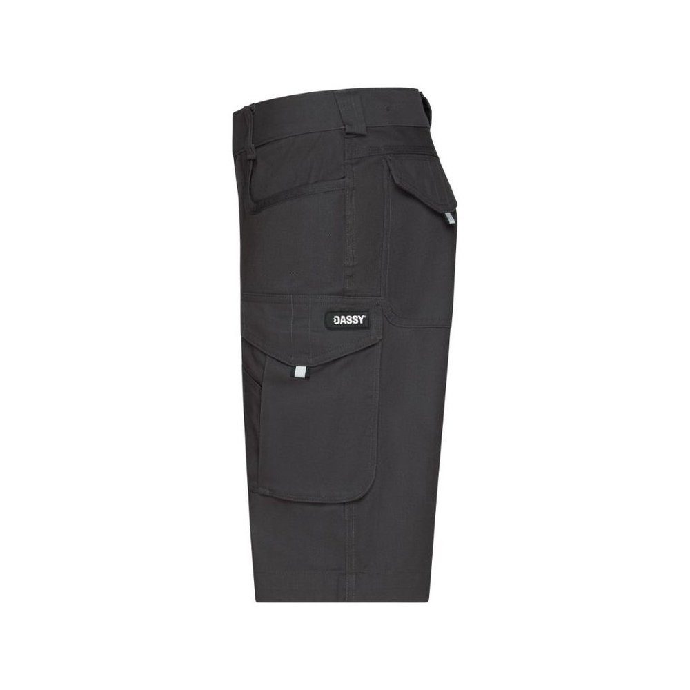 Dassy Arbeitshose Botta Flex Women