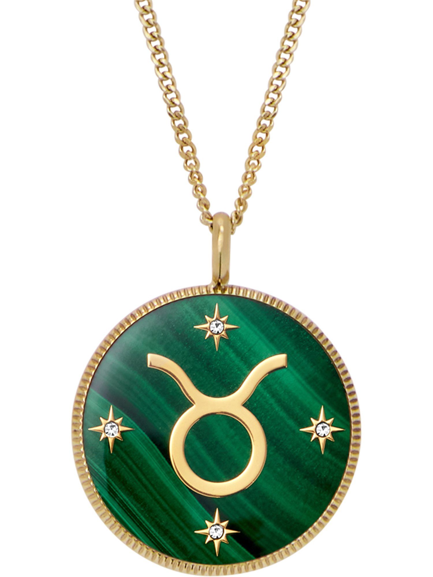 Collier Fossil Damen-Kette Edelstahl Farbstein
