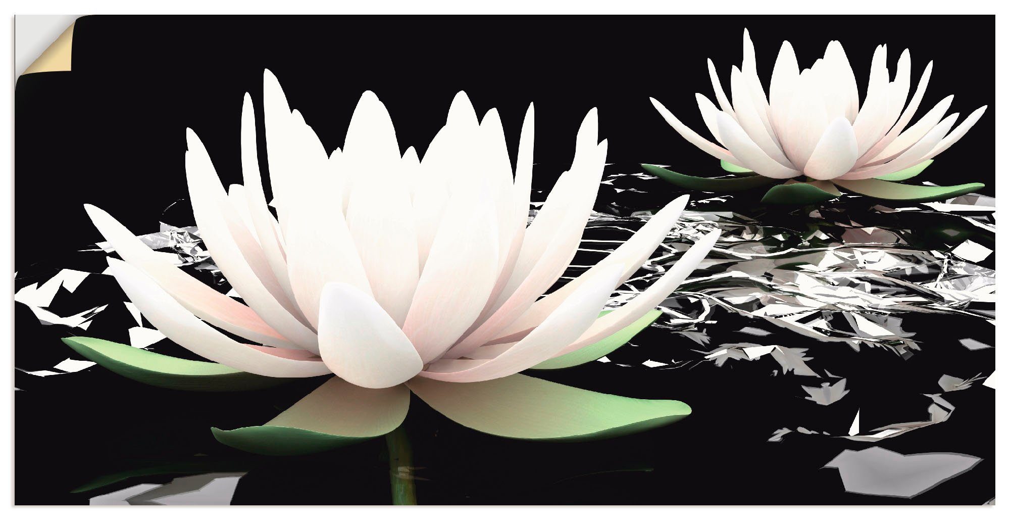 Blumen in versch. Zwei Wasser, Lotusblumen (1 auf Leinwandbild, St), als Wandbild Poster Artland Größen dem Alubild, Wandaufkleber oder