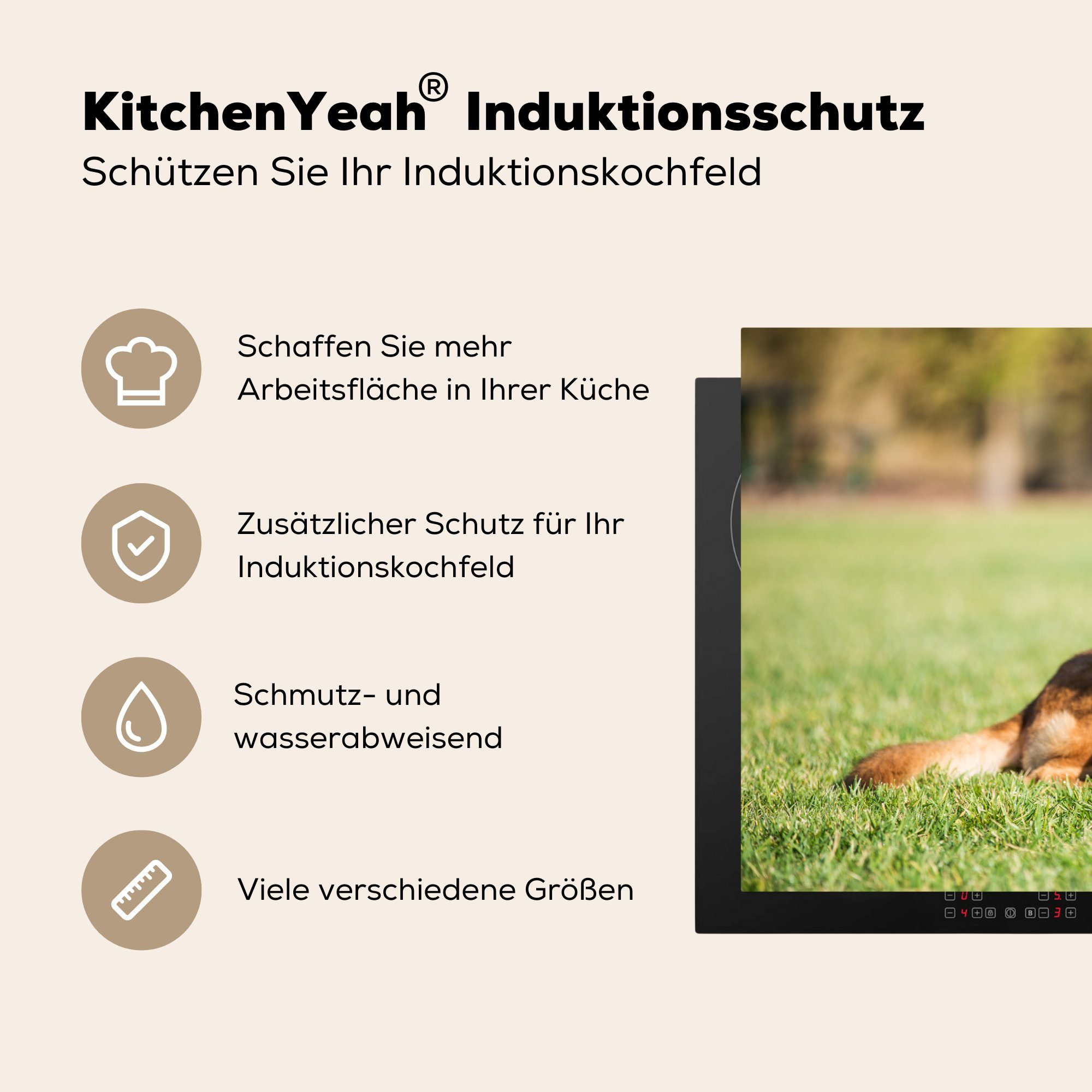 MuchoWow Gras Schutz 81x52 Vinyl, für Schäferhund (1 Induktionskochfeld im Herdblende-/Abdeckplatte Deutscher liegend, Ceranfeldabdeckung tlg), küche, die cm,