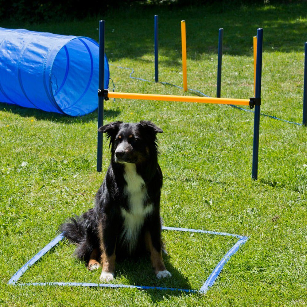 Schecker Agility-Slalom Dog Agility Starter Set, Kunststoff, (7-tlg)