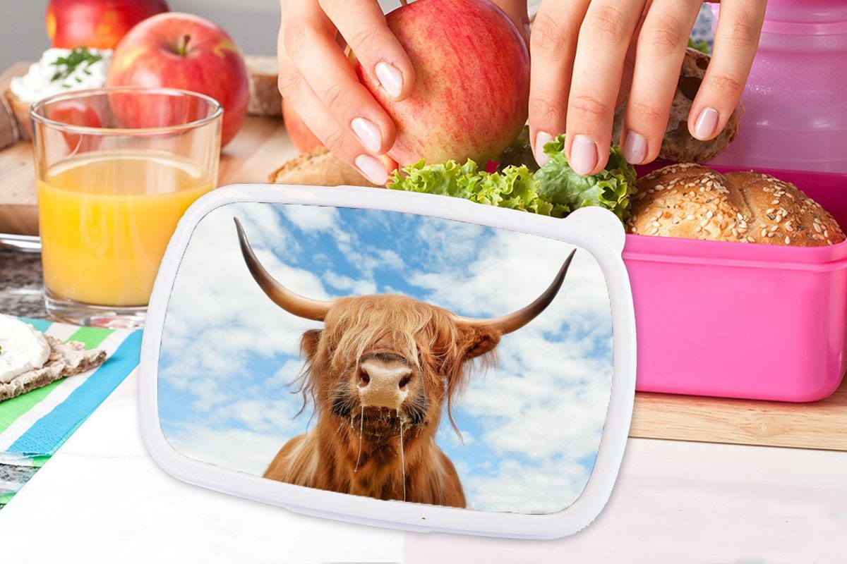 MuchoWow Lunchbox Schottischer Highlander - Snackbox, Mädchen, Wolke Kunststoff, Kinder, Brotbox (2-tlg), Erwachsene, rosa Kunststoff Tiere, - für Brotdose