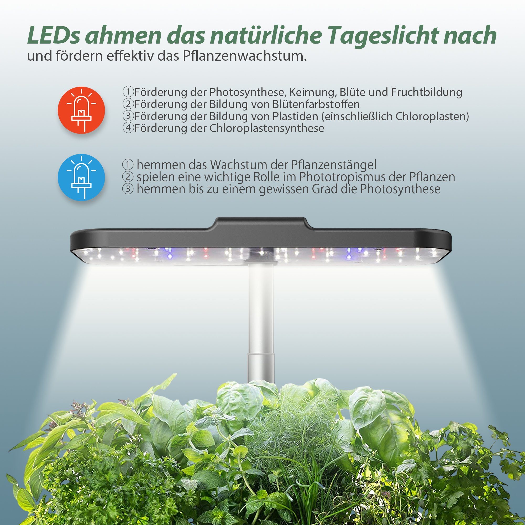 HomeGuru Pflanzkübel Hydroponische St., Garden,mit Packung) (1 Indoor Anzuchtsysteme,Smart LED-Pflanzenlampe