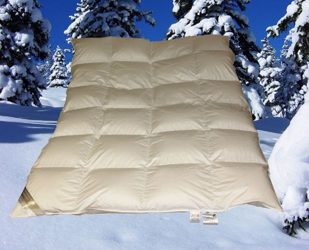 Betten Hofmann Daunenbettdecke Betten Hofmann Franken Winter Daunendecke 6cm 135x200cm 4x6 100% Daune, Füllung: 100% Daunen, Bezug: 100% Baumwolle, warmes Winterbett, made in Germany, hypoallergen