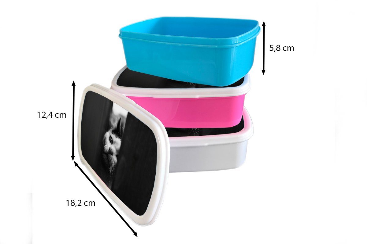 schwarz und Snackbox, Kunststoff rosa Lunchbox Brotdose (2-tlg), MuchoWow Spionage Kunststoff, Mädchen, Erwachsene, für Tierprofil Kinder, weiß, Brotbox in Katze