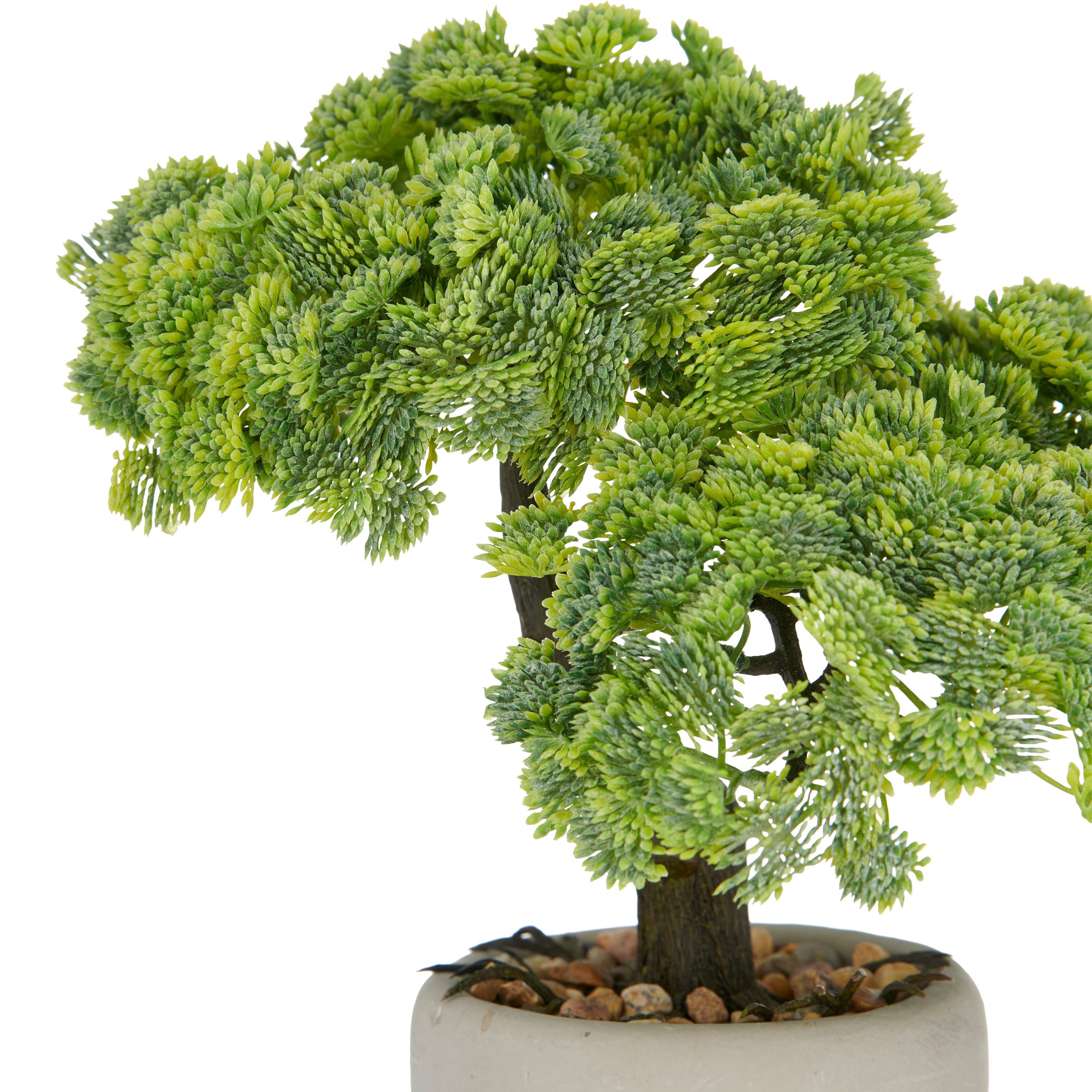 Kunstbonsai Bonsai Sedum multiceps, Creativ green, Höhe 24 cm, mit modernem Pflanzgefäß – Bild 2 von 2