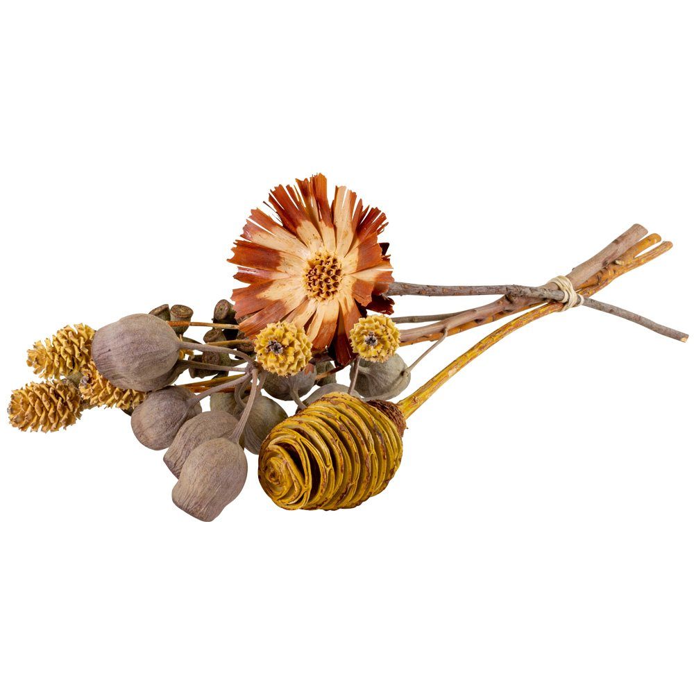 Kunstblume Trockenblumen afrikanische Deko Hochzeit Strauß naturfarbe, matches21 HOME & HOBBY, Höhe 0 cm