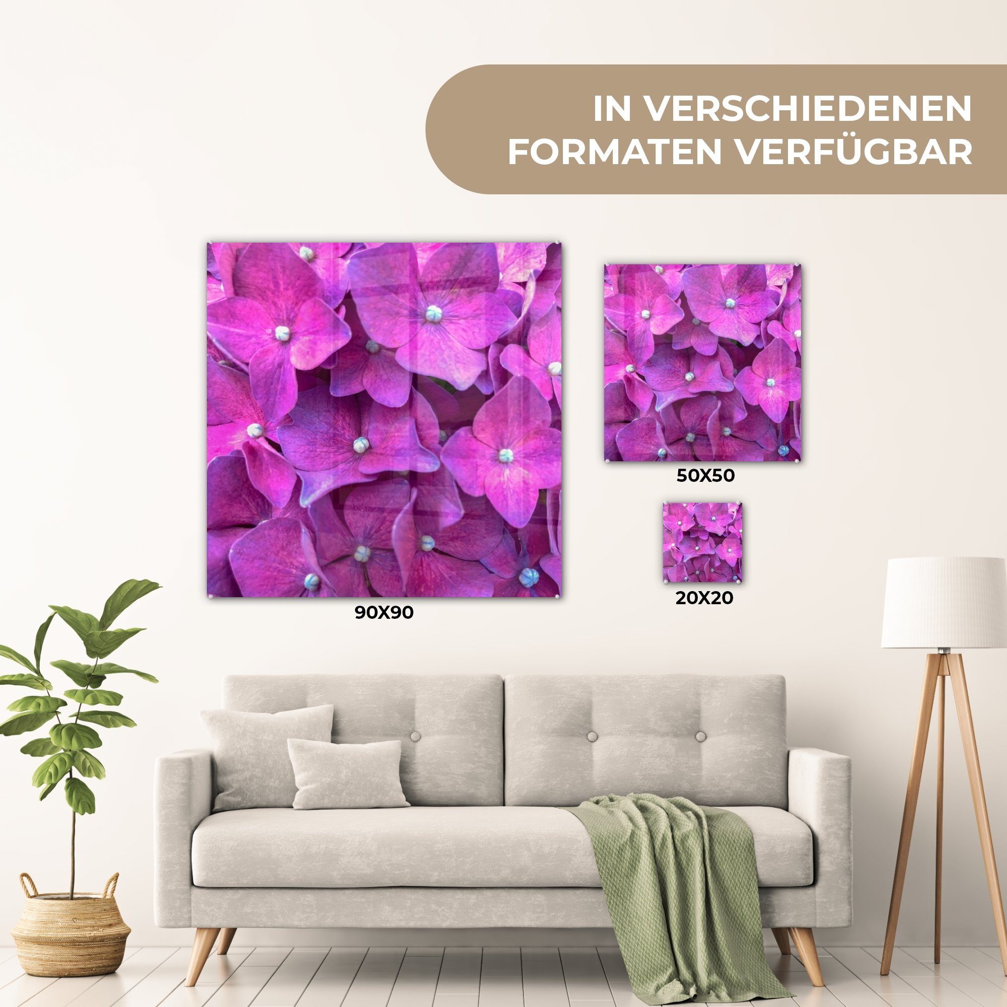 MuchoWow Acrylglasbild Bilder - Hortensienblüten, (1 Wanddekoration Glasbilder - - rosa St), Wandbild Glas auf Nahaufnahme Foto auf Glas