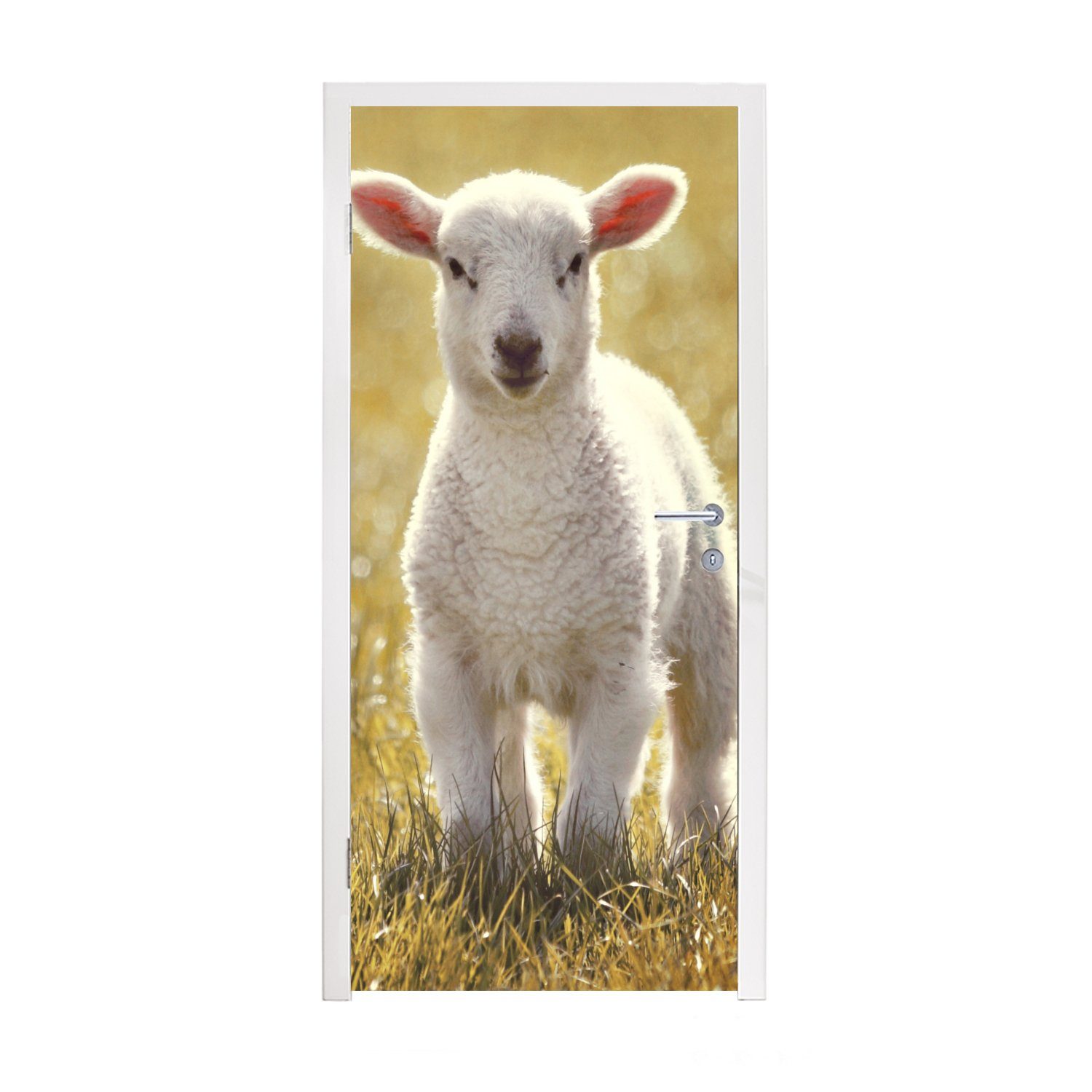 MuchoWow Türtapete Schafe - Gras - Sonne, Matt, bedruckt, (1 St), Fototapete für Tür, Türaufkleber, 75x205 cm