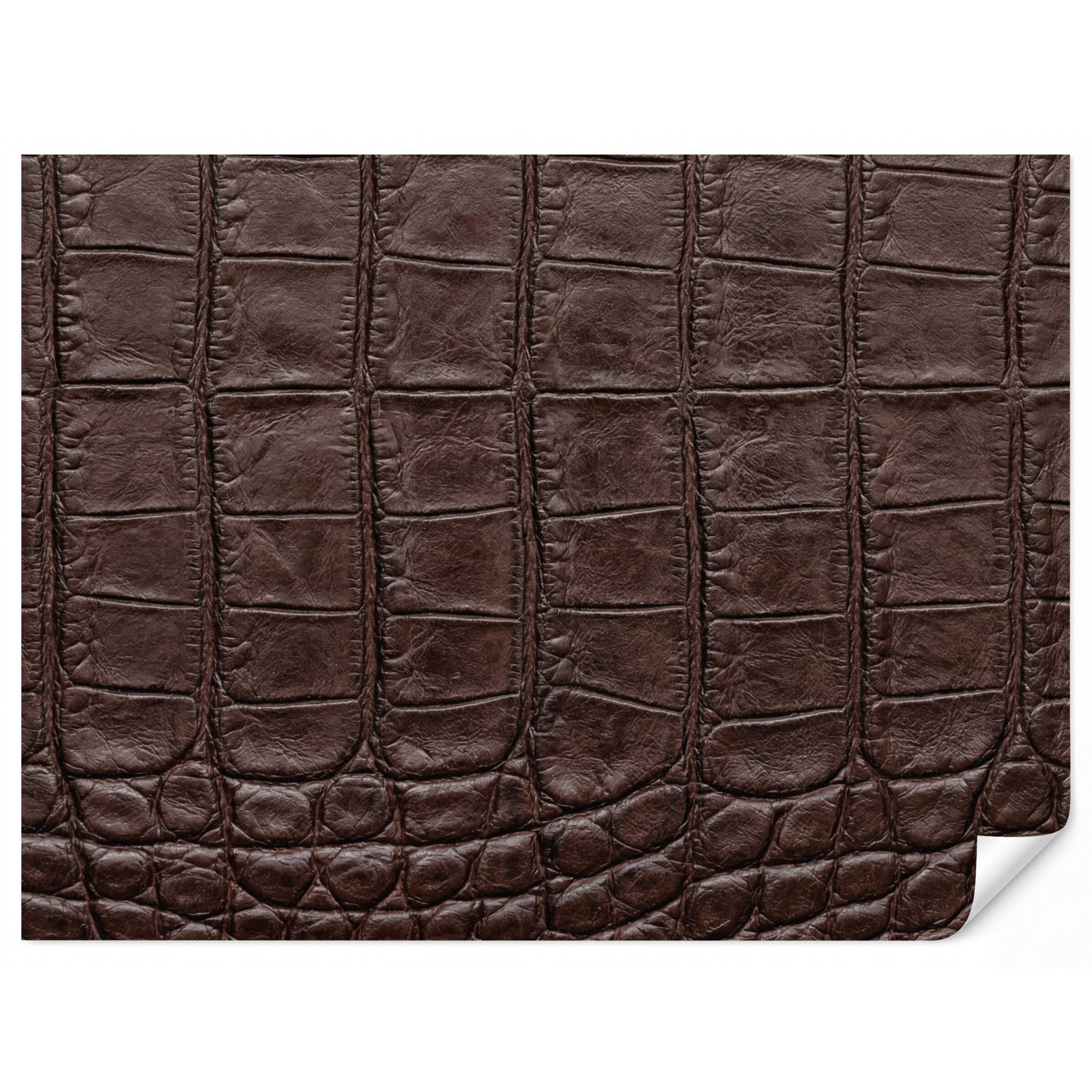 OnlyWow Fototapete Krokodil - Leder - Braun, Matt, bedruckt, Wandtapete, Schlafzimmer, Wanddekoration 300x220cm