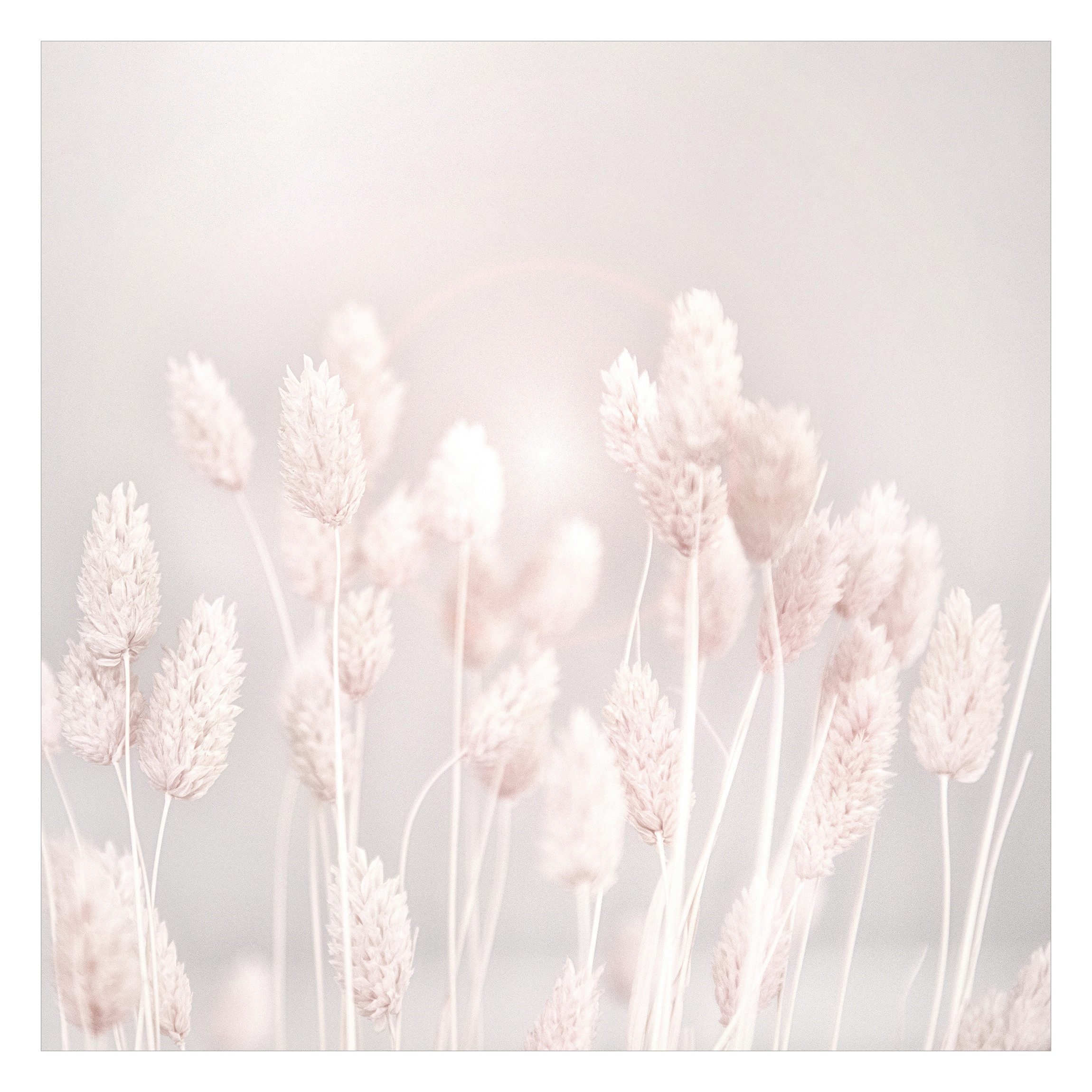 Bilderdepot24 Fototapete Blumen Helles Gras Sonnenlicht Blumentapete Floral Natur Modern Kunst, Glatt, Matt, (Vliestapete inkl. Kleister oder selbstklebend), Wohnzimmer Schlafzimmer Küche Flur Motivtapete Vliestapete Wandtapete