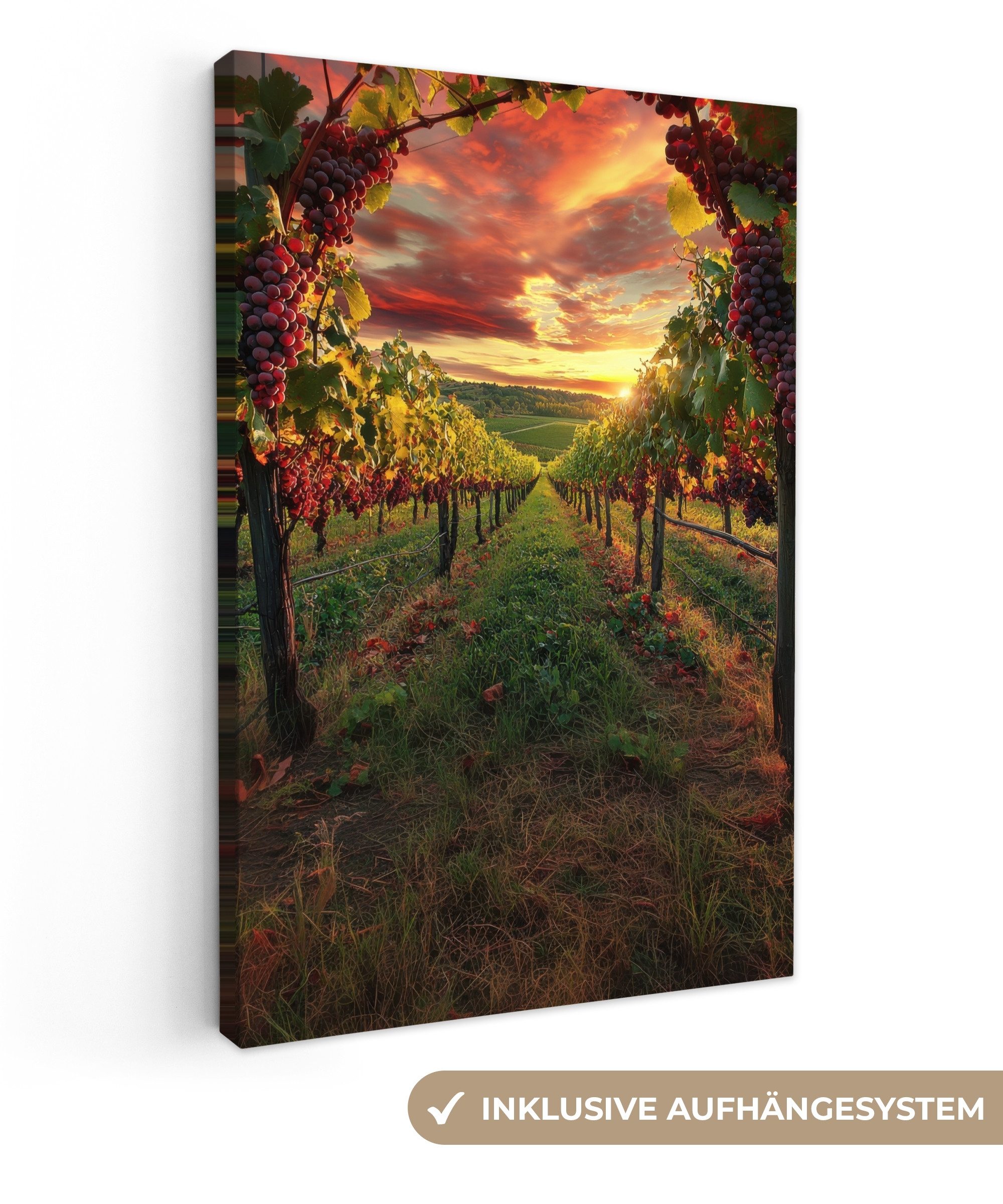 OneMillionCanvasses® Leinwandbild Weinberg - Weintrauben - günstig online kaufen
