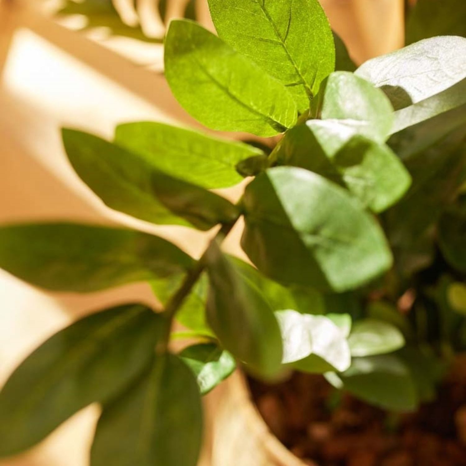 Künstliche Zimmerpflanze Topfpflanze Zamioculcas, Emerald, Höhe 110 cm, im Topf, Grün, Zamioculcas, H: 110cm