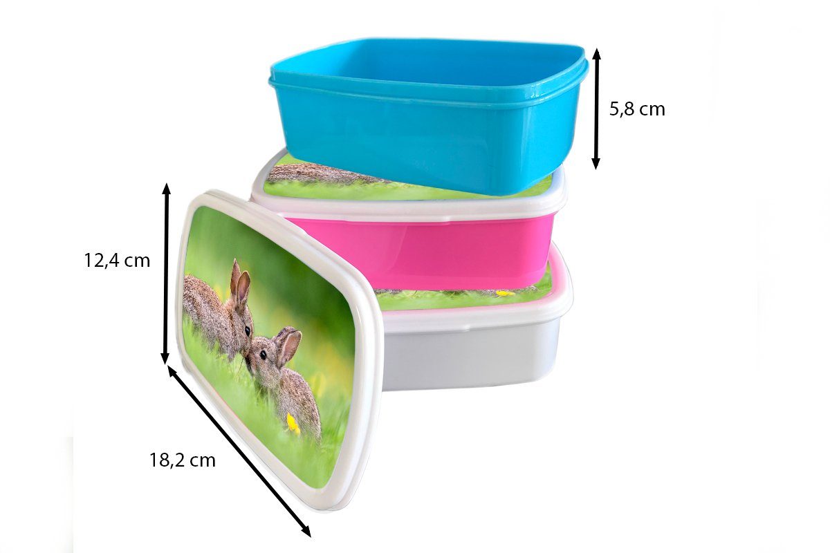 ihren Kaninchen Kunststoff Kunststoff, Lunchbox gegeneinander, rosa Zwei Schnauzen für Kinder, Mädchen, mit (2-tlg), Brotbox Brotdose MuchoWow Erwachsene, Snackbox,