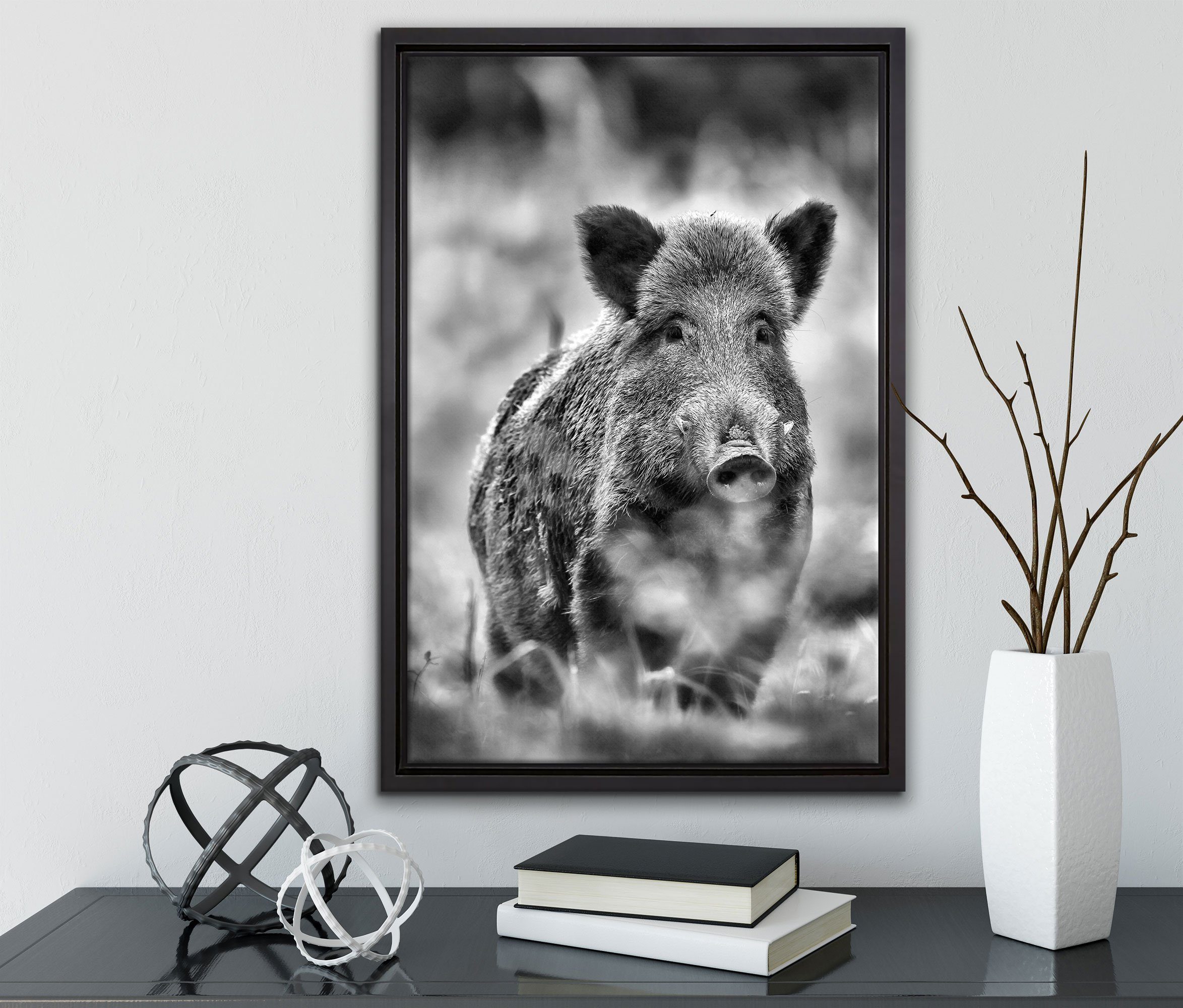 in inkl. (1 Zackenaufhänger Wiese, bespannt, Pixxprint auf einem Wanddekoration St), Wildschwein fertig gefasst, Leinwandbild Schattenfugen-Bilderrahmen Leinwandbild