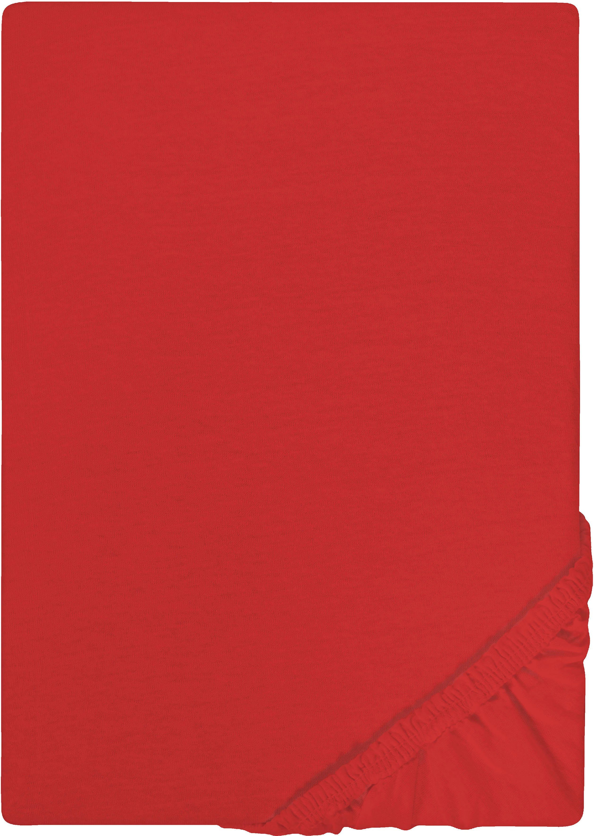 Castell - Markenbettwäsche Spannbettlaken Jersey in Gr. 90x200, 140x200 ode günstig online kaufen