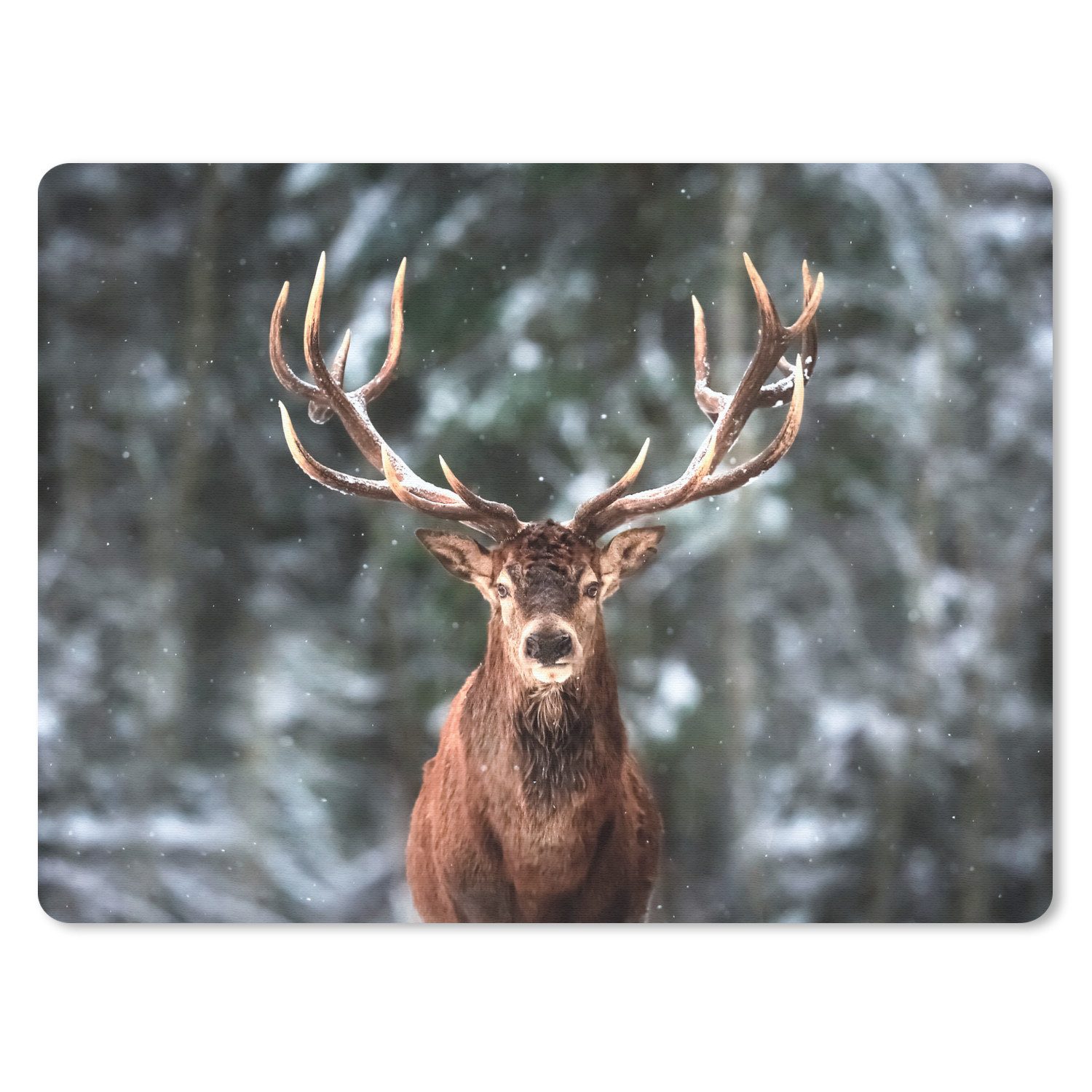 MuchoWow Mauspad Rotwild - Winter - Schnee - Wald - Natur - Tier (1-St), Büro für Tastatur und Maus, Mousepad Gaming, 40x30 cm
