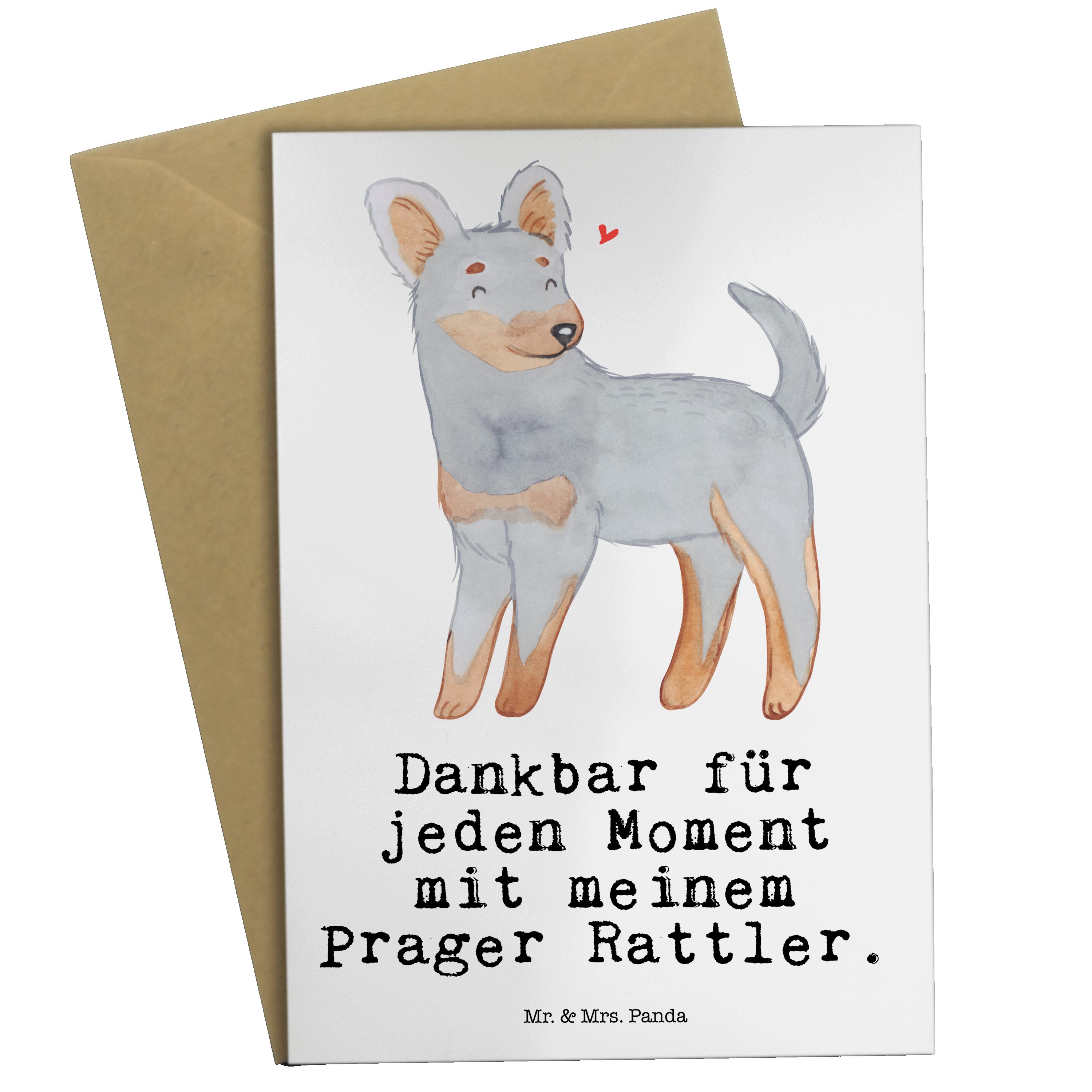 Mr. & Mrs. Panda Grußkarte Prager Rattler Moment - Weiß - Geschenk, Glückwunschkarte, Hunderasse