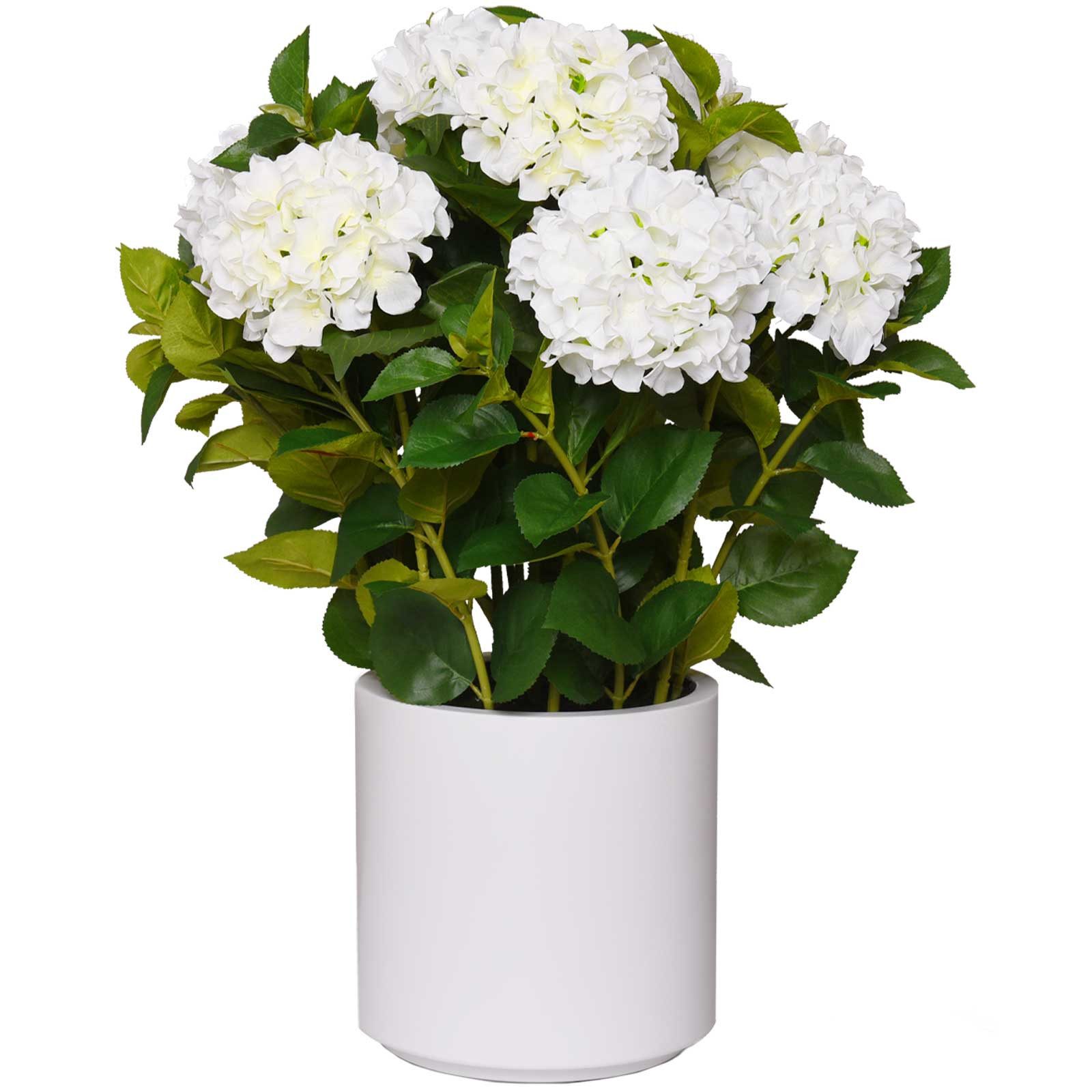 Kunstpflanze Kunststoff HYDRANGEA Rund - Weiß, günstig online kaufen