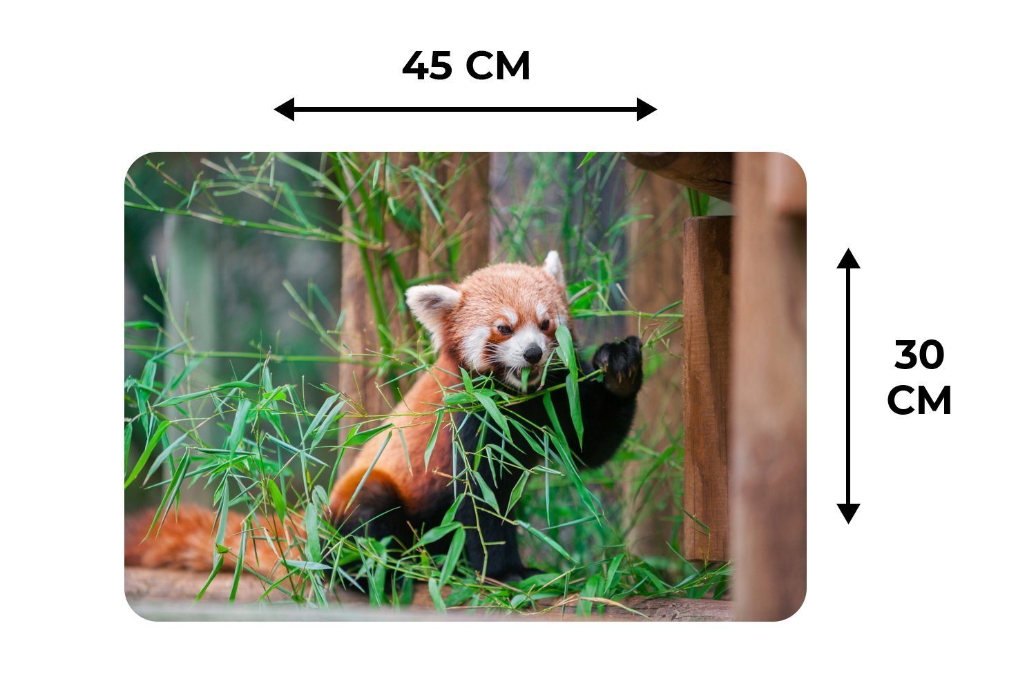 Platzset, Roter Panda - Grün, Schmutzabweisend Platzset, Platzdecken, (6-St), Bambus MuchoWow, - Tischmatten, Platzmatte