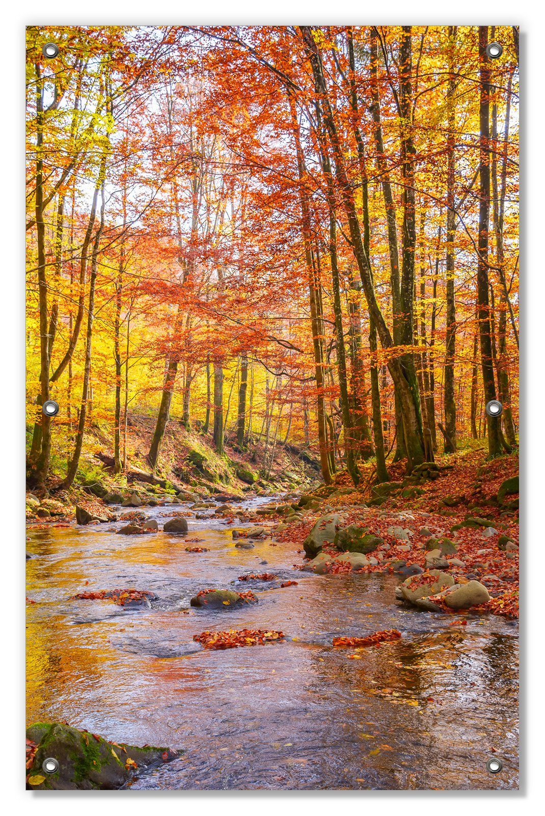 Sonnenschutz Herbstwald mit Bach, Wallario, blickdicht, mit Saugnäpfen, wiederablösbar und wiederverwendbar
