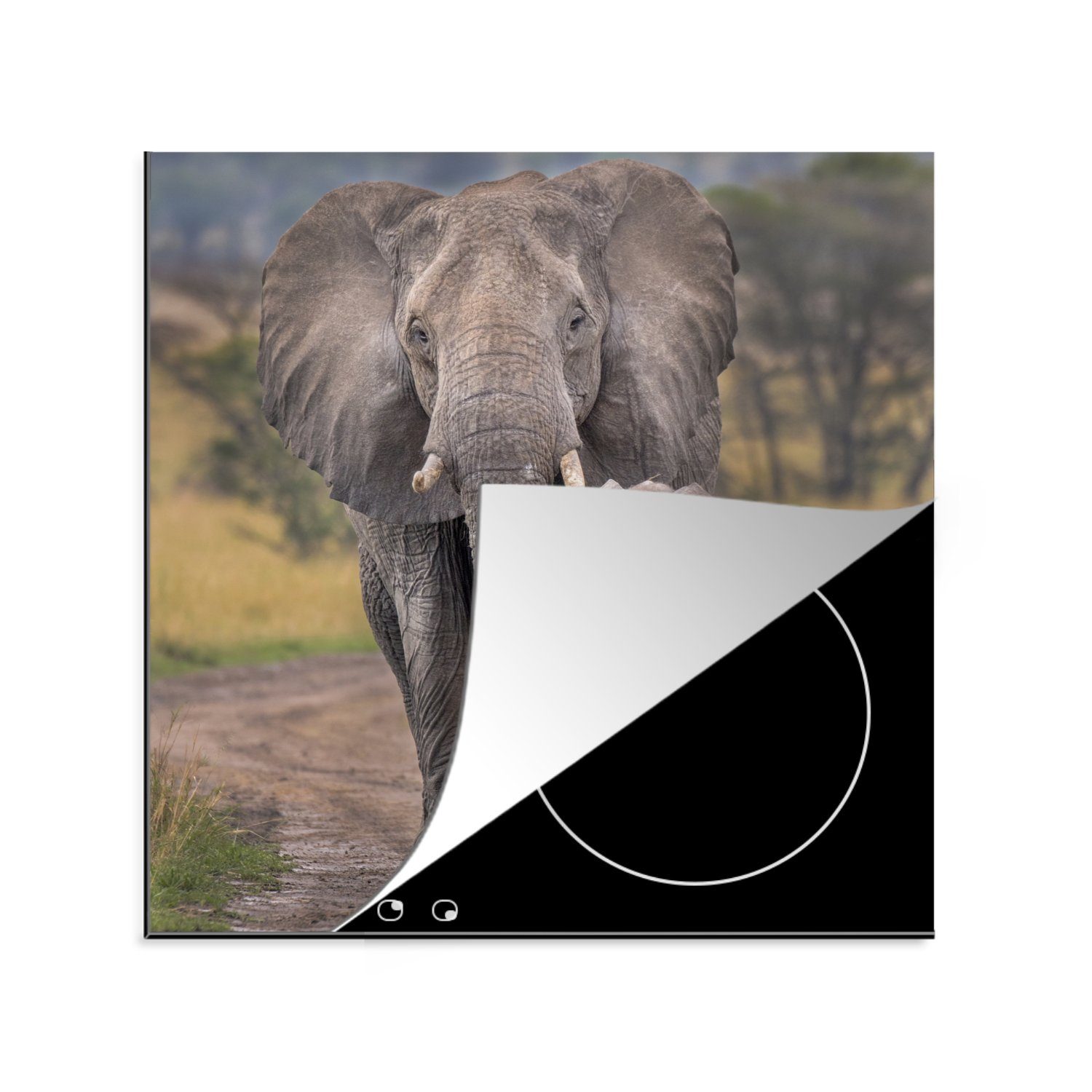 MuchoWow Ceranfeldabdeckung, (1 im Vinyl, cm, und Elefantenmutter 78x78 küche Ngorongoro-Krater, einer tlg), Kalb Straße Herdblende-/Abdeckplatte für auf Arbeitsplatte