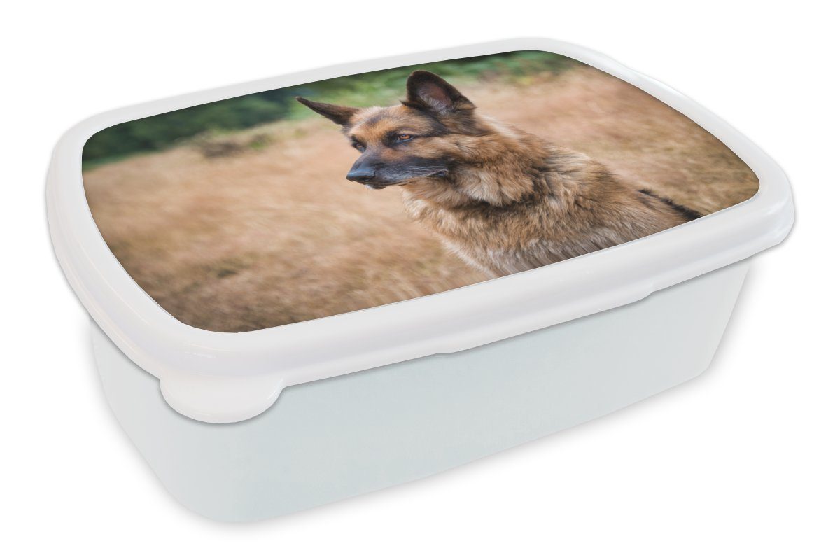 MuchoWow Lunchbox Ein Deutscher mit aufgestellten Ohren, Kunststoff, (2-tlg), Brotbox für Kinder und Erwachsene, Brotdose, für Jungs und Mädchen weiß