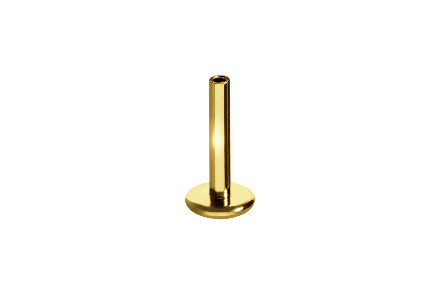 PIERCINGLINE Piercing-Set Titan Labret mit Innengewinde ohne Kugel ABGERUNDETE PLATTE (Labrets, 1-tlg)