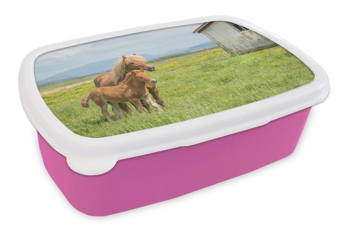 MuchoWow Lunchbox Pferde Kinder, rosa Mädchen, (2-tlg), Kunststoff Kunststoff, Gebirge, - Erwachsene, Snackbox, für - Brotdose Brotbox Fohlen