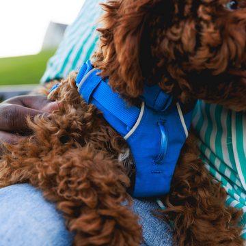 Ruffwear Hunde-Geschirr FRONT RANGE™ Harnes, Gepolstertes Geschirr für die alltäglichen Abenteuer.