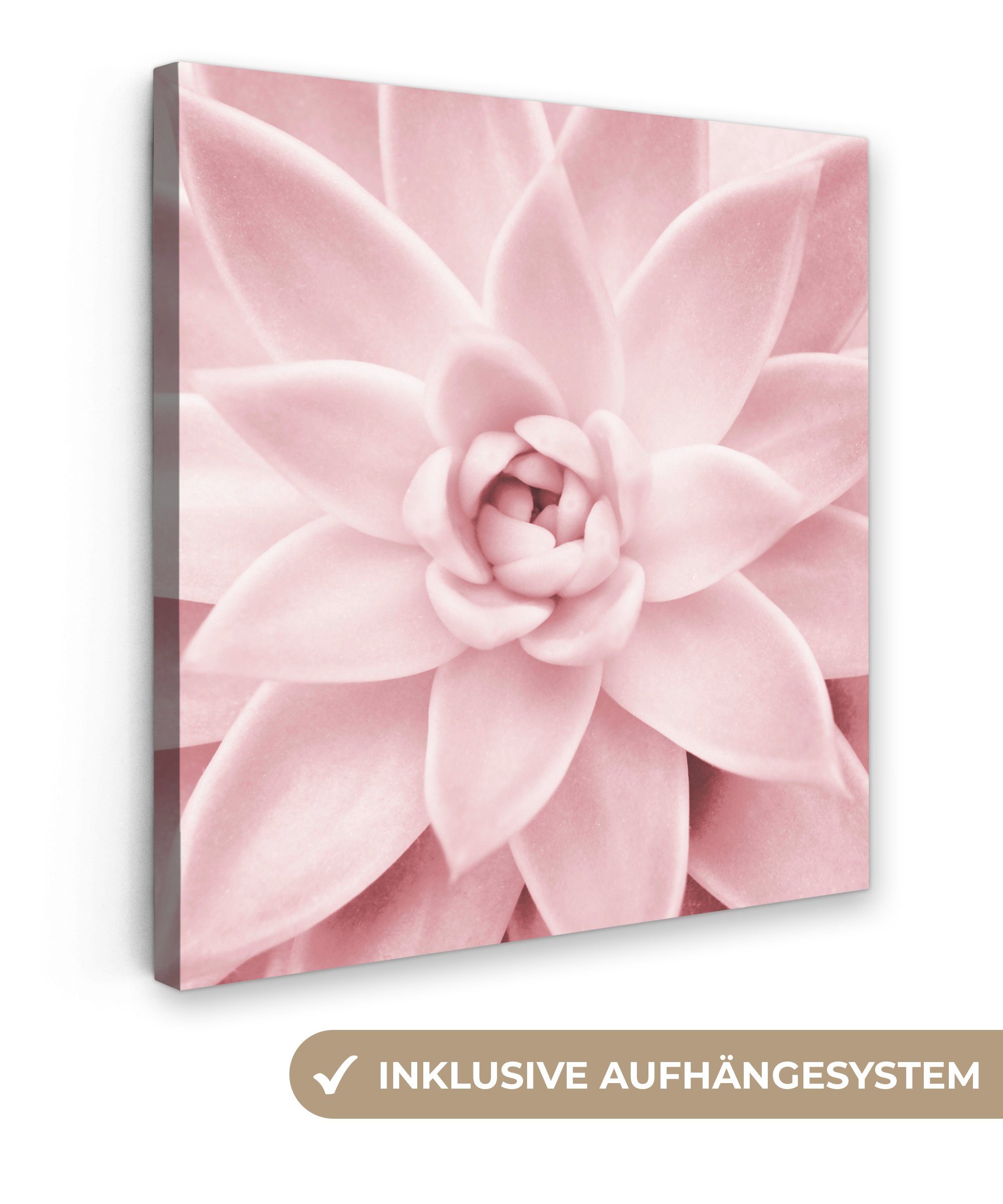 OneMillionCanvasses® Leinwandbild Blume - Rosa - Natur - Pflanze, Fotodruck (1 St), Wandbild, Deko Schlafzimmer Wohnzimmer Flur 20x20 cm