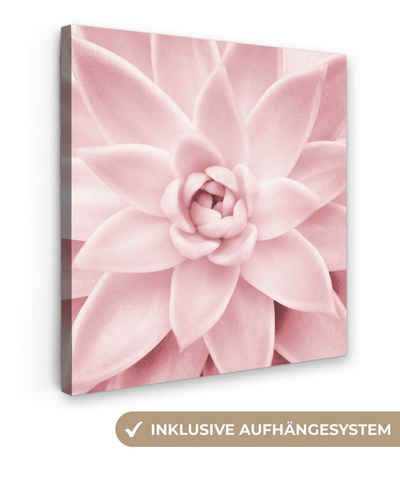 OneMillionCanvasses® Leinwandbild Blume - Rosa - Natur - Pflanze, (1 St), Leinwandbild fertig bespannt inkl. Zackenaufhänger, Gemälde