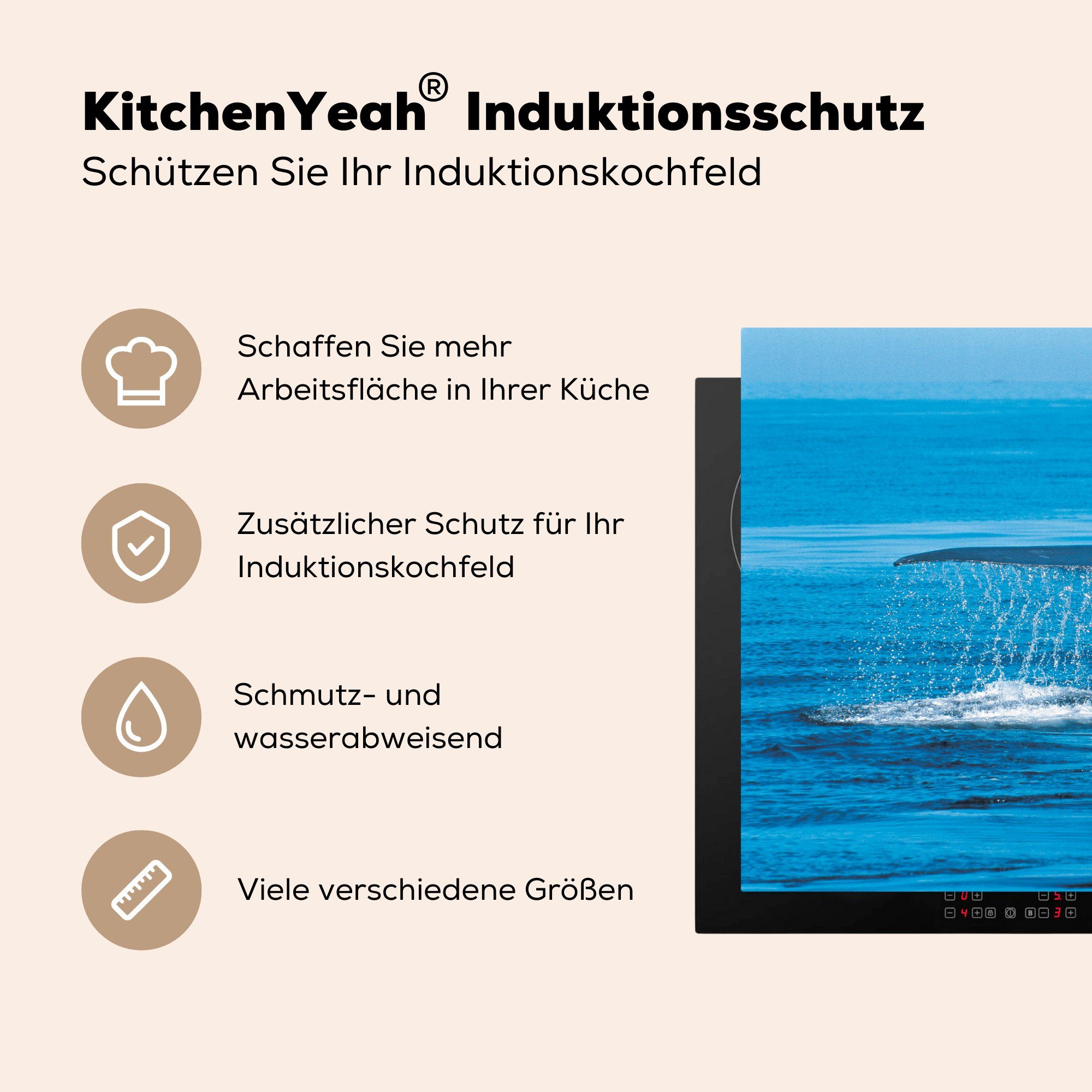 Schwanz Vinyl, - Induktionskochfeld cm, Herdblende-/Abdeckplatte Ceranfeldabdeckung eines (1 tlg), Blauwal küche, die MuchoWow für Wals, Schutz 81x52