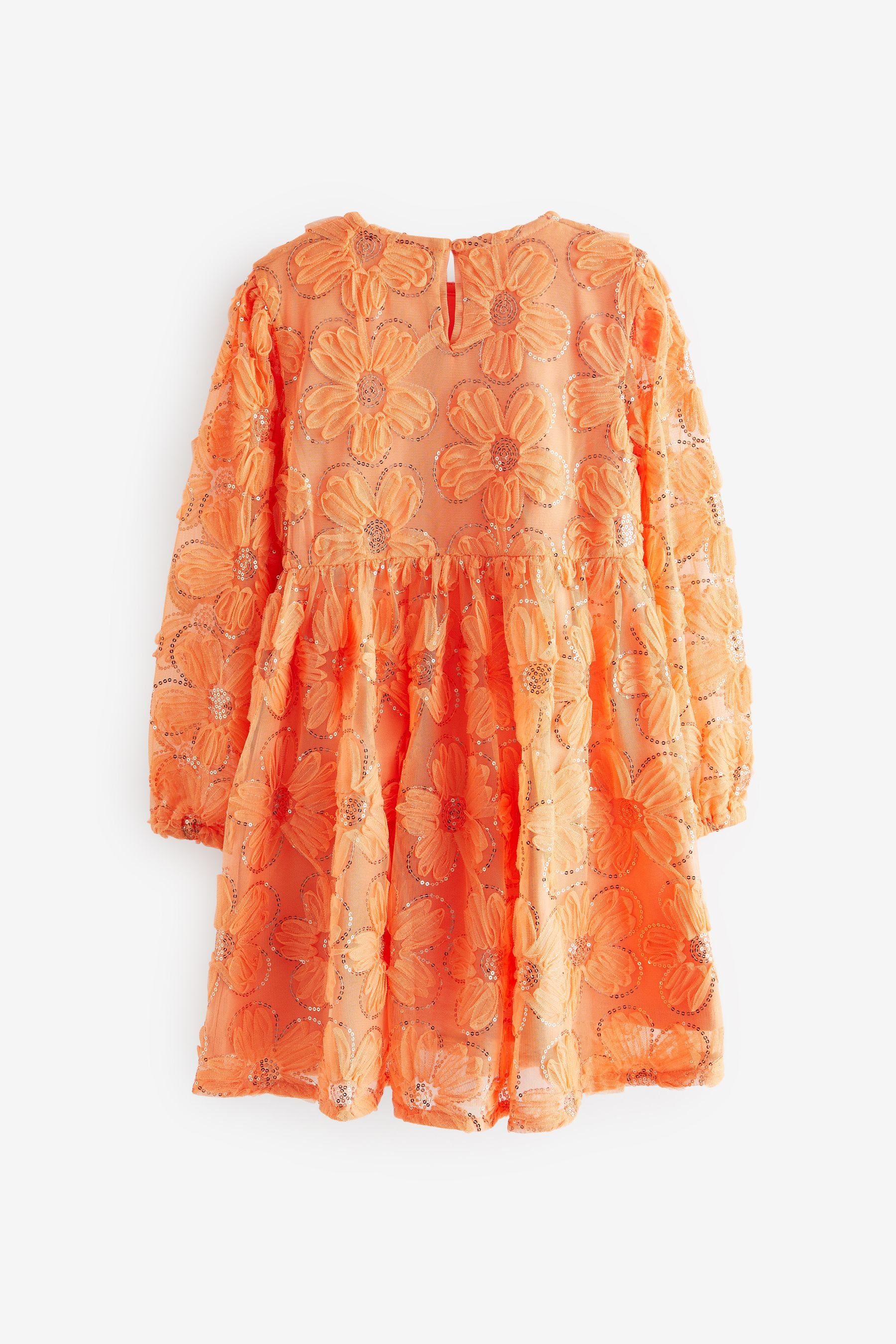 Pailletten aus Apricot Partykleid Netz mit Orange Next (1-tlg) Partykleid Langärmeliges