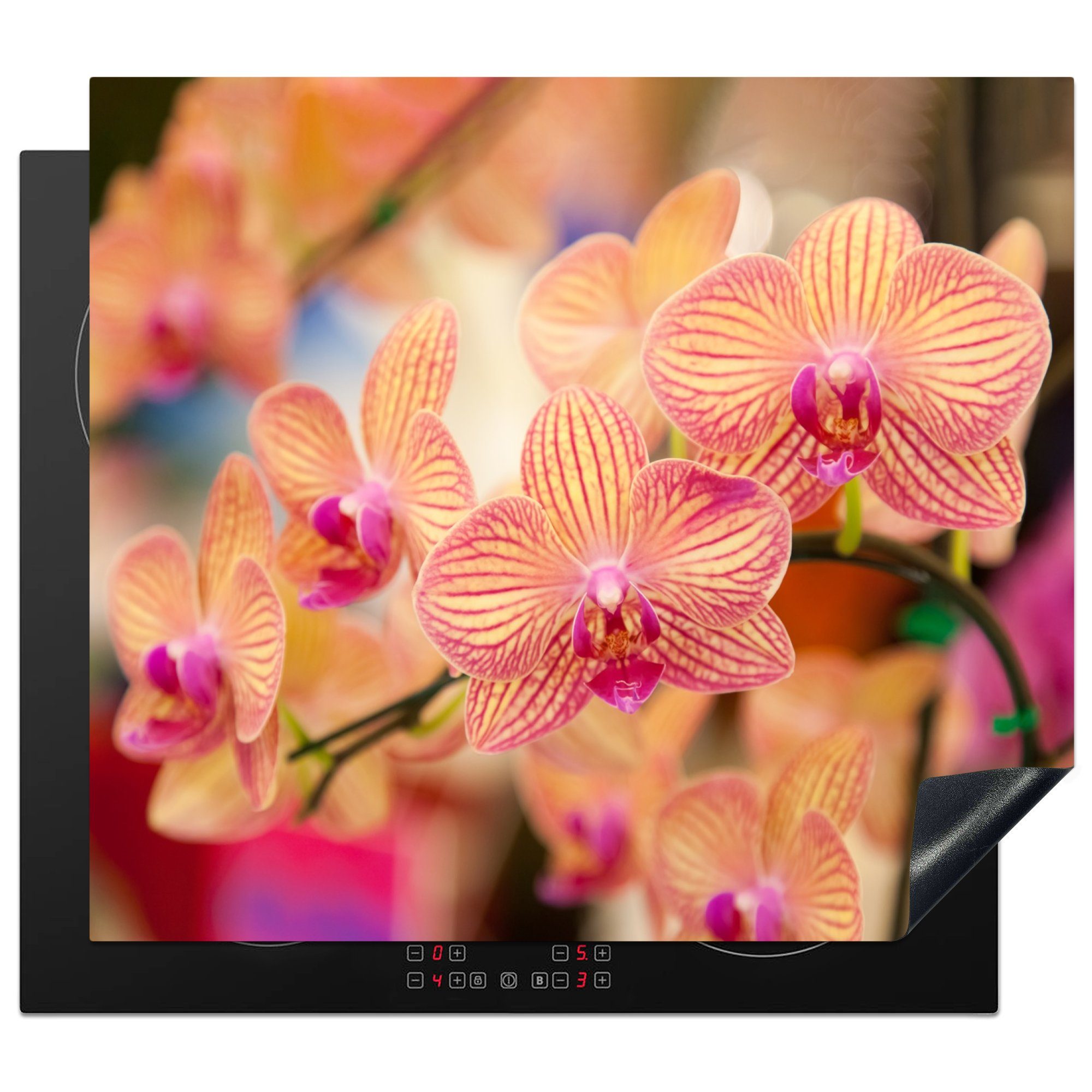 MuchoWow Herd-Abdeckplatte Pflanze - Orchidee - Blumen - Rosa - Flora, Vinyl, (1 tlg), Abdeckplatte für Ceranfeld, Herd Inductionsmatte, 57.6x51.6 cm