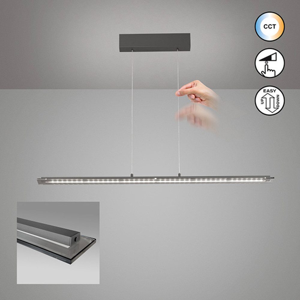 FISCHER & HONSEL Pendelleuchte Torvi, Dimmfunktion, LED wechselbar, Farbtemperatur in 3 Stufen einstellbar, höhenverstellbar mit Kabellift