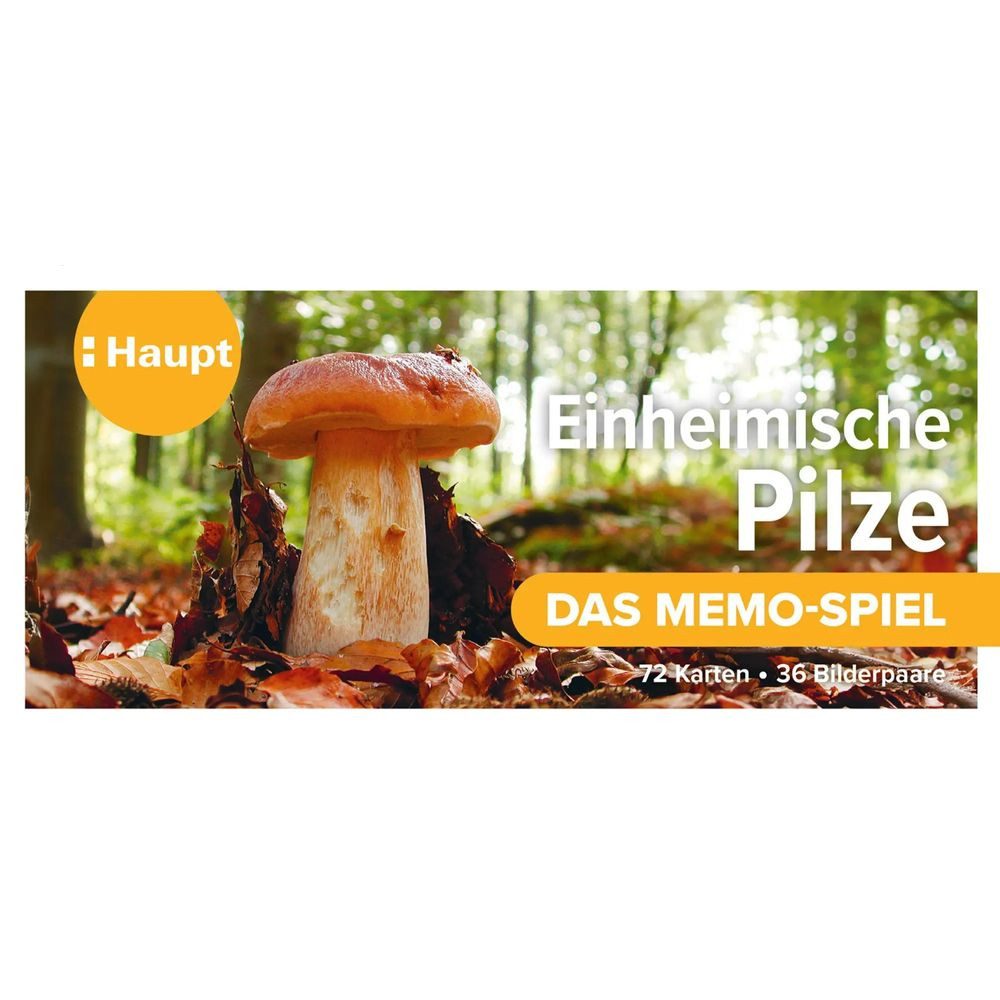 Haupt Spiel Einheimische Pilze - das Memo-Spiel