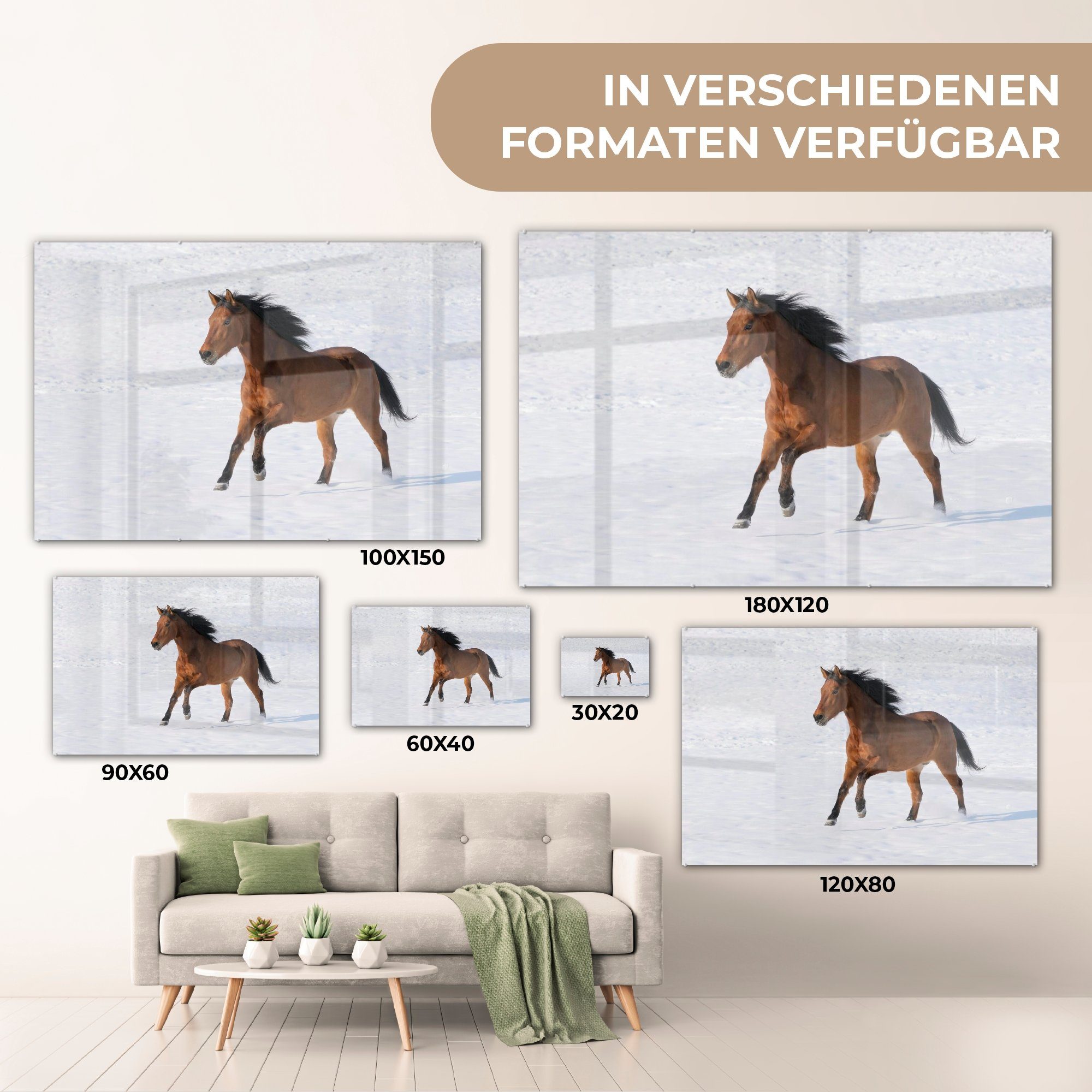 (1 St), - MuchoWow Winter, Schnee & - Pferde Wohnzimmer Schlafzimmer Acrylglasbild Acrylglasbilder