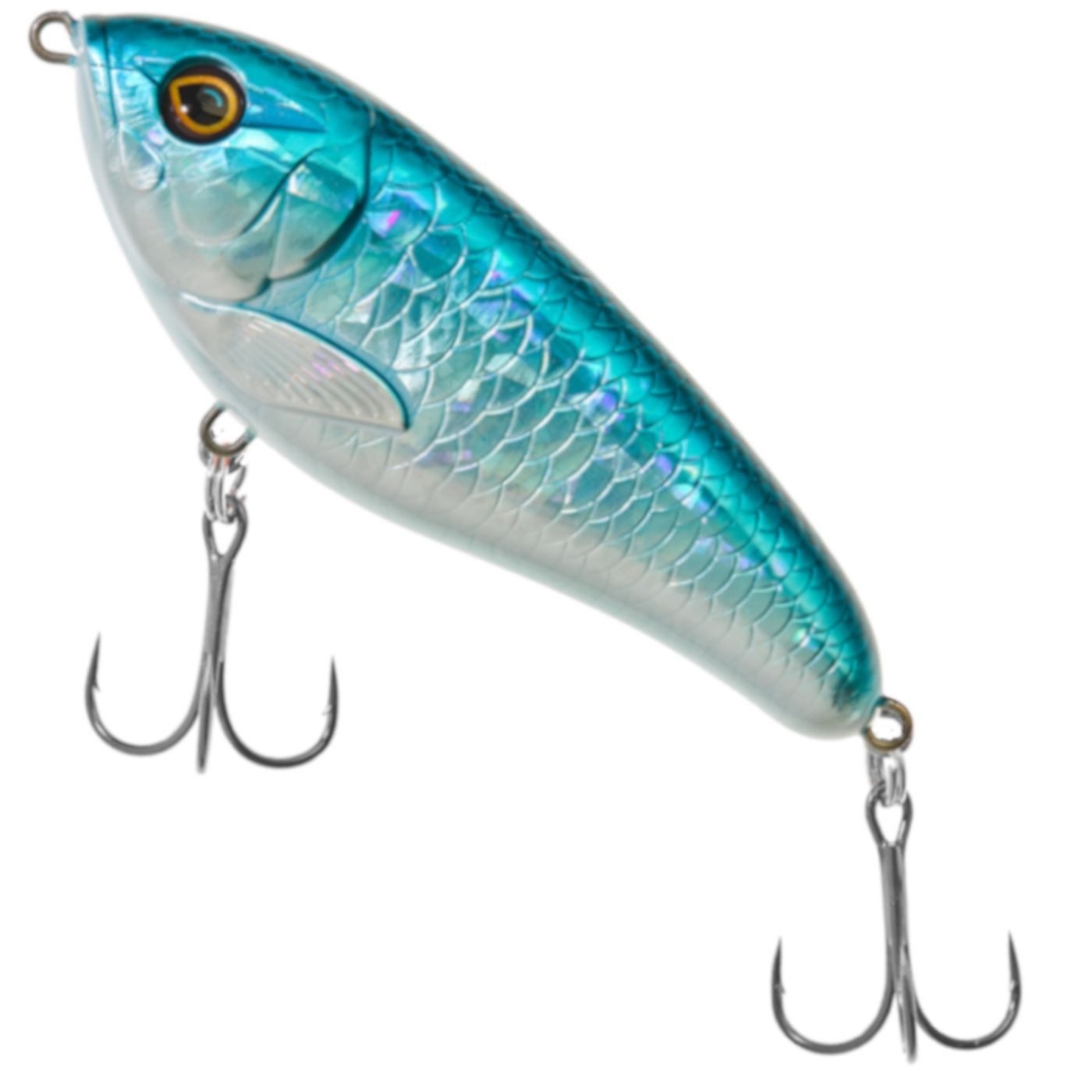 Blue Shad