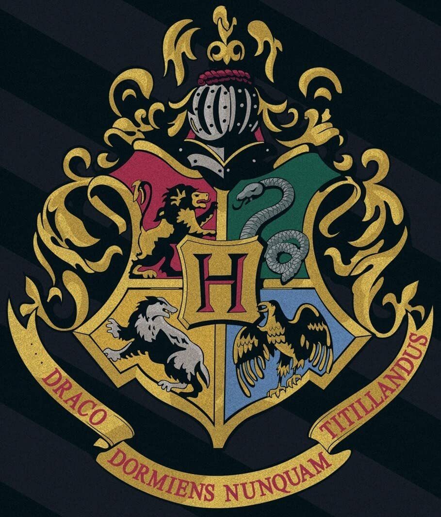 Wohndecke Harry Potter Hogwarts Wappen x 100 BrandMac cm, 140 Fleecedecke