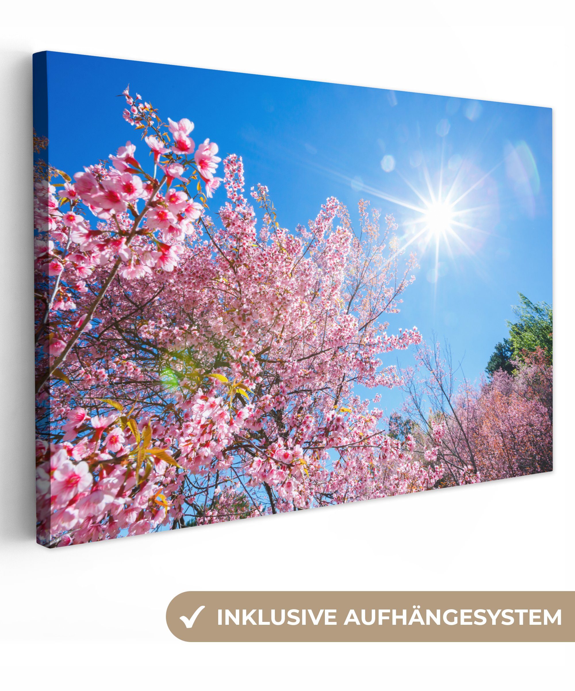 OneMillionCanvasses® Leinwandbild Sakura - Blumen - Rosa, (1 St), Wandbild Leinwandbilder, Aufhängefertig, Wanddeko, 30x20 cm | Leinwandbilder