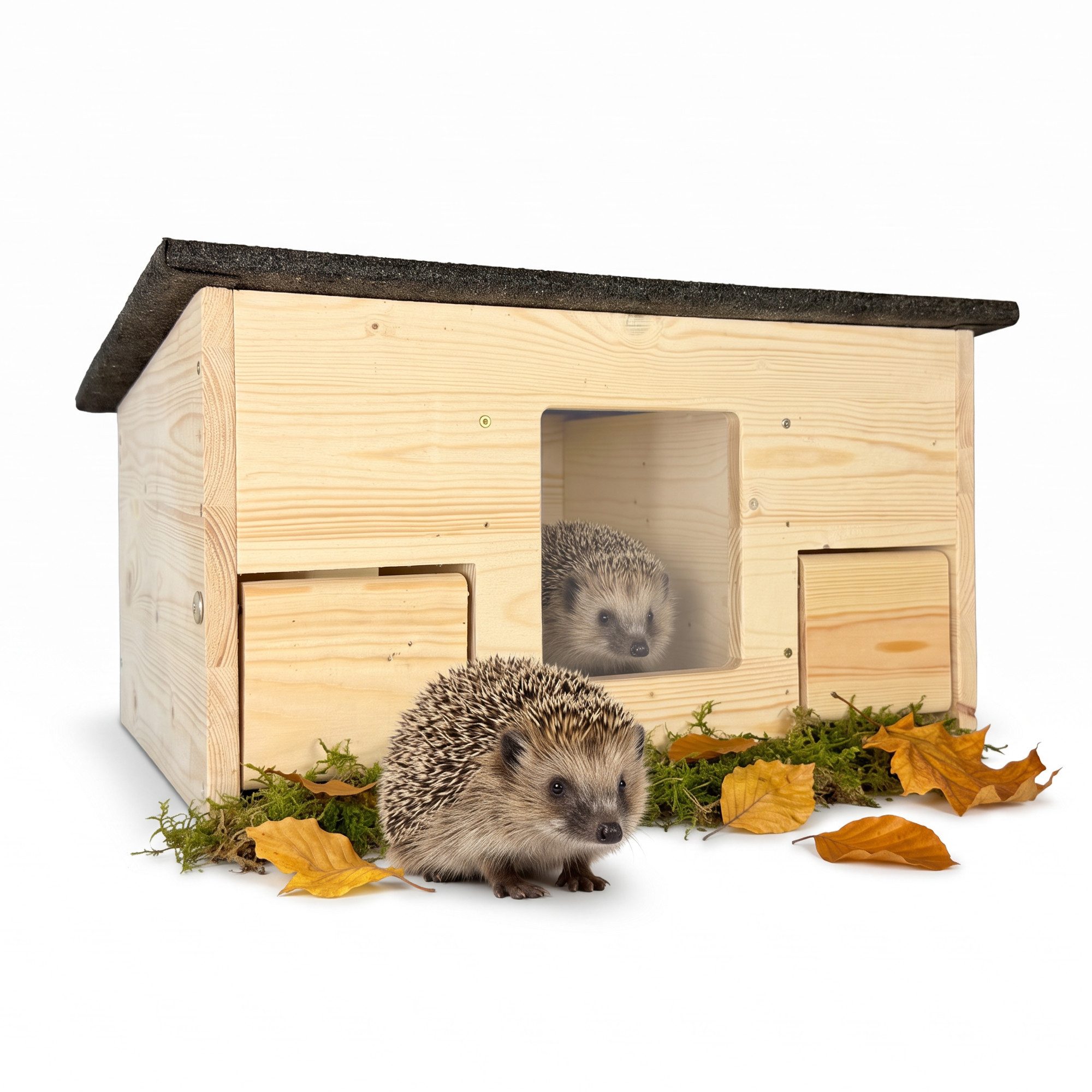 gartenetage Igelhaus Igelfutterhaus mit Beobachtungsfenster & Rattenklappen aus Holz, Sicheres Igelhaus für Garten mit Schleuse, Fluchtweg & Wetterschutz