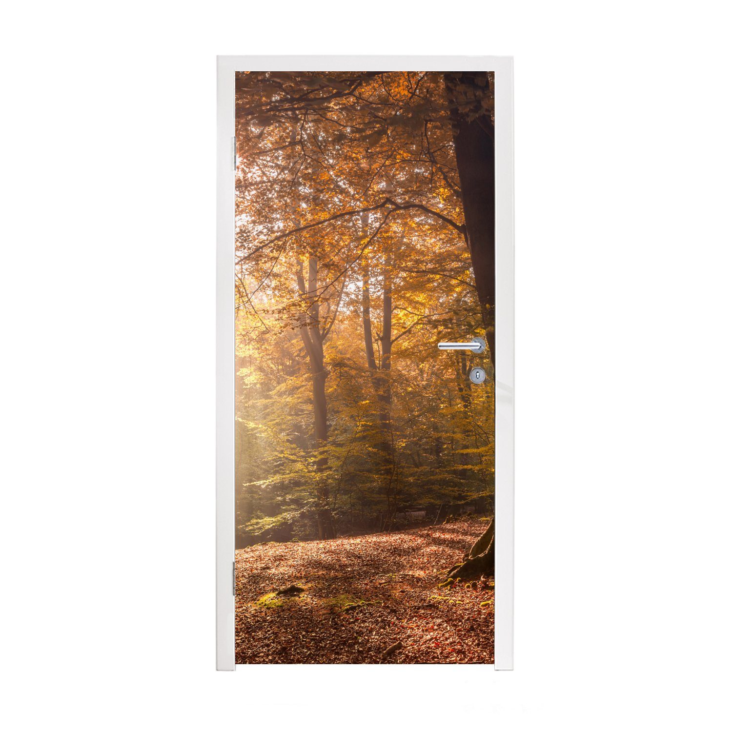 MuchoWow Türtapete Bäume - Herbst - Orange, Matt, bedruckt, (1 St), Fototapete für Tür, Türaufkleber, 75x205 cm