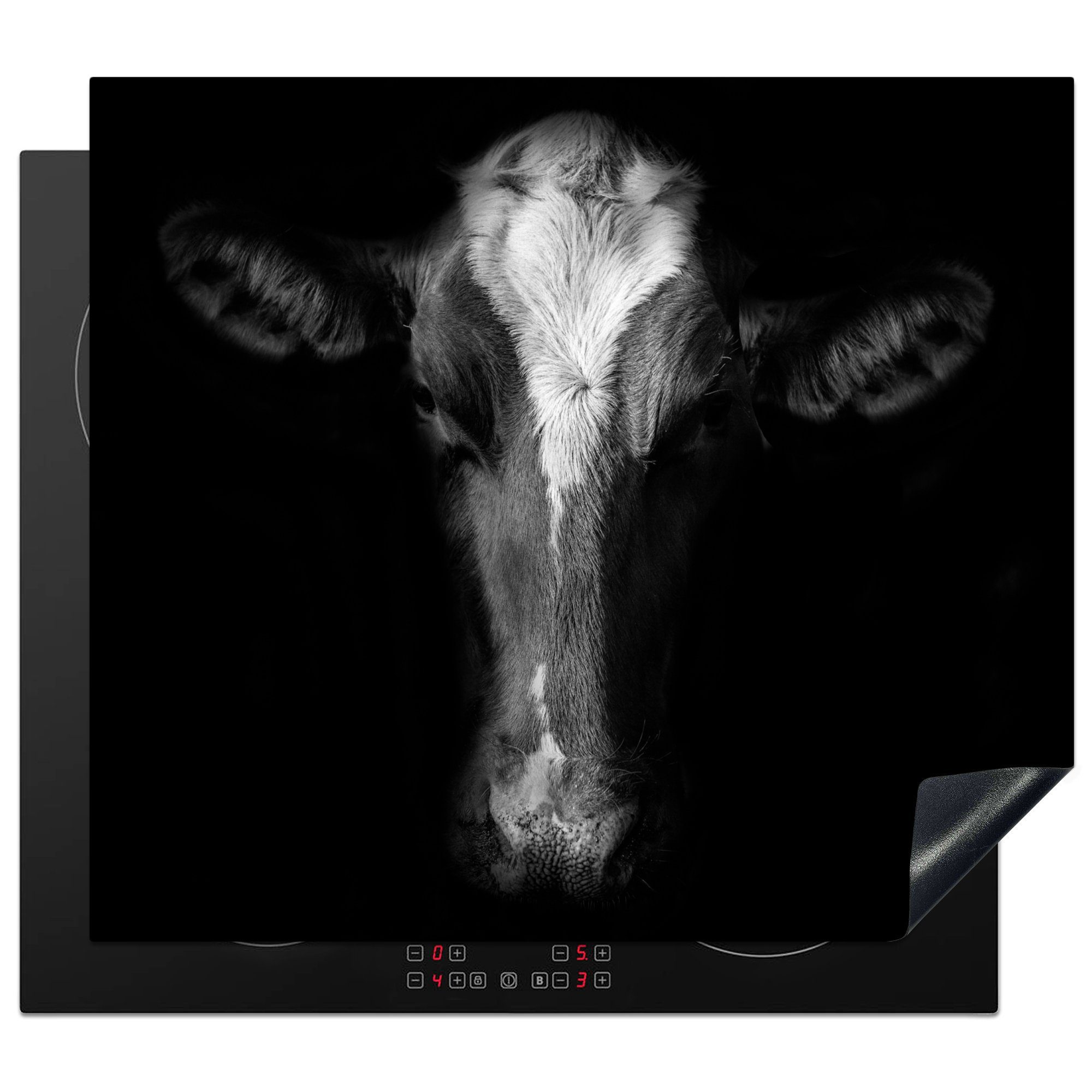 59x52 Schwarz, - MuchoWow die für cm, Kuh Ceranfeldabdeckung küche, (1 Vinyl, Tiere Herdblende-/Abdeckplatte Induktionsmatte tlg), -
