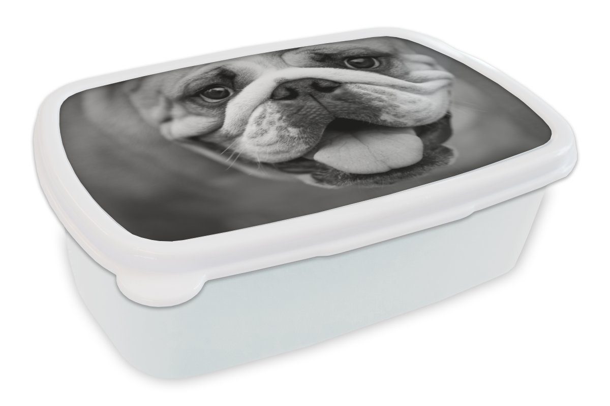 MuchoWow Lunchbox Tierprofil Bulldogge in schwarz und weiß, Kunststoff, (2-tlg), Brotbox für Kinder und Erwachsene, Brotdose, für Jungs und Mädchen