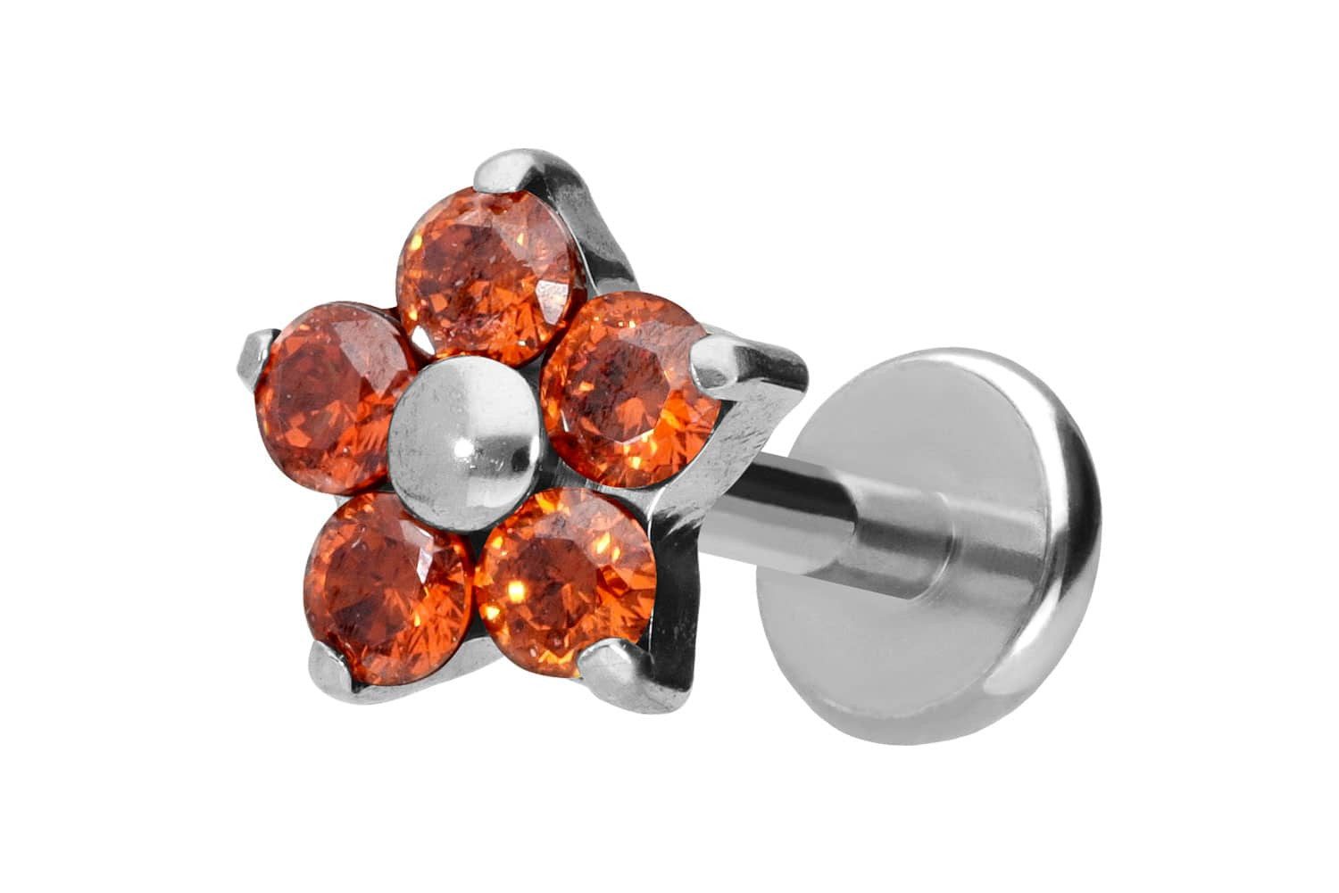 PIERCINGLINE Piercing-Set Titan Labret mit Push günstig online kaufen