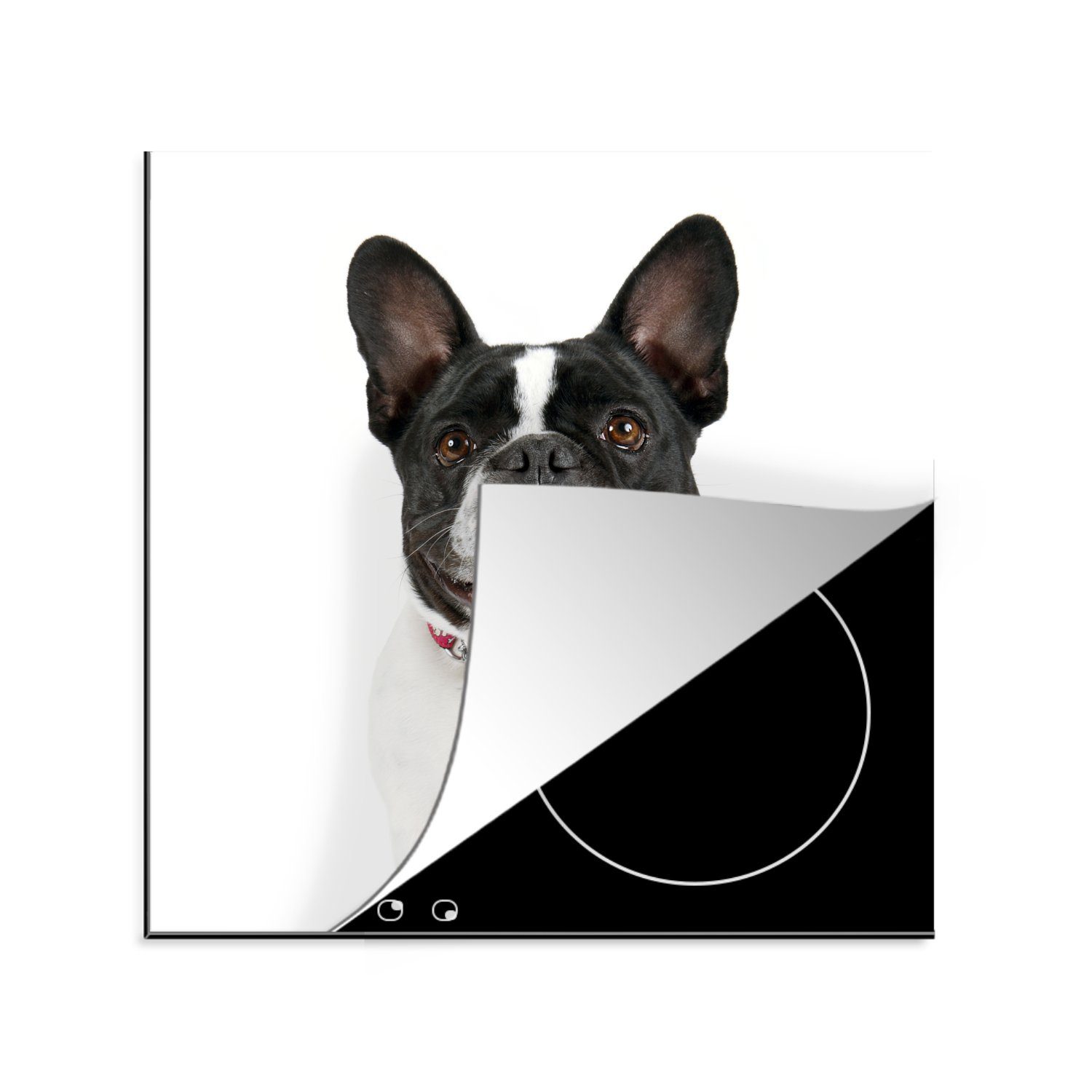 MuchoWow Herdblende-/Abdeckplatte Französische Bulldogge - Schwarz - Weiß, Vinyl, (1 tlg), 78x78 cm, Ceranfeldabdeckung, Arbeitsplatte für küche