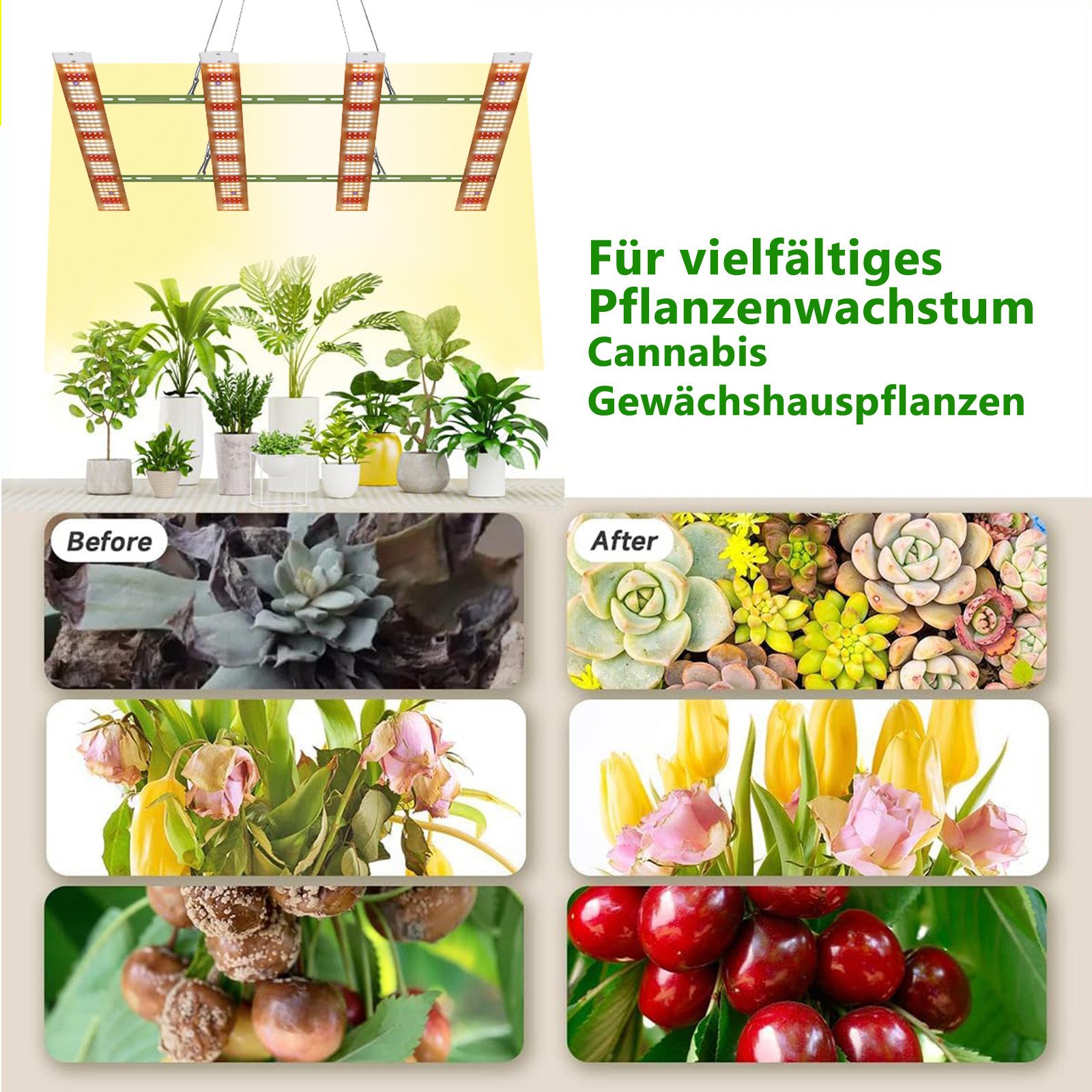 Laybasic Pflanzenlampe Grow Lampe Cannabis,40W/80W/120W/160W UV IR Vollspek günstig online kaufen