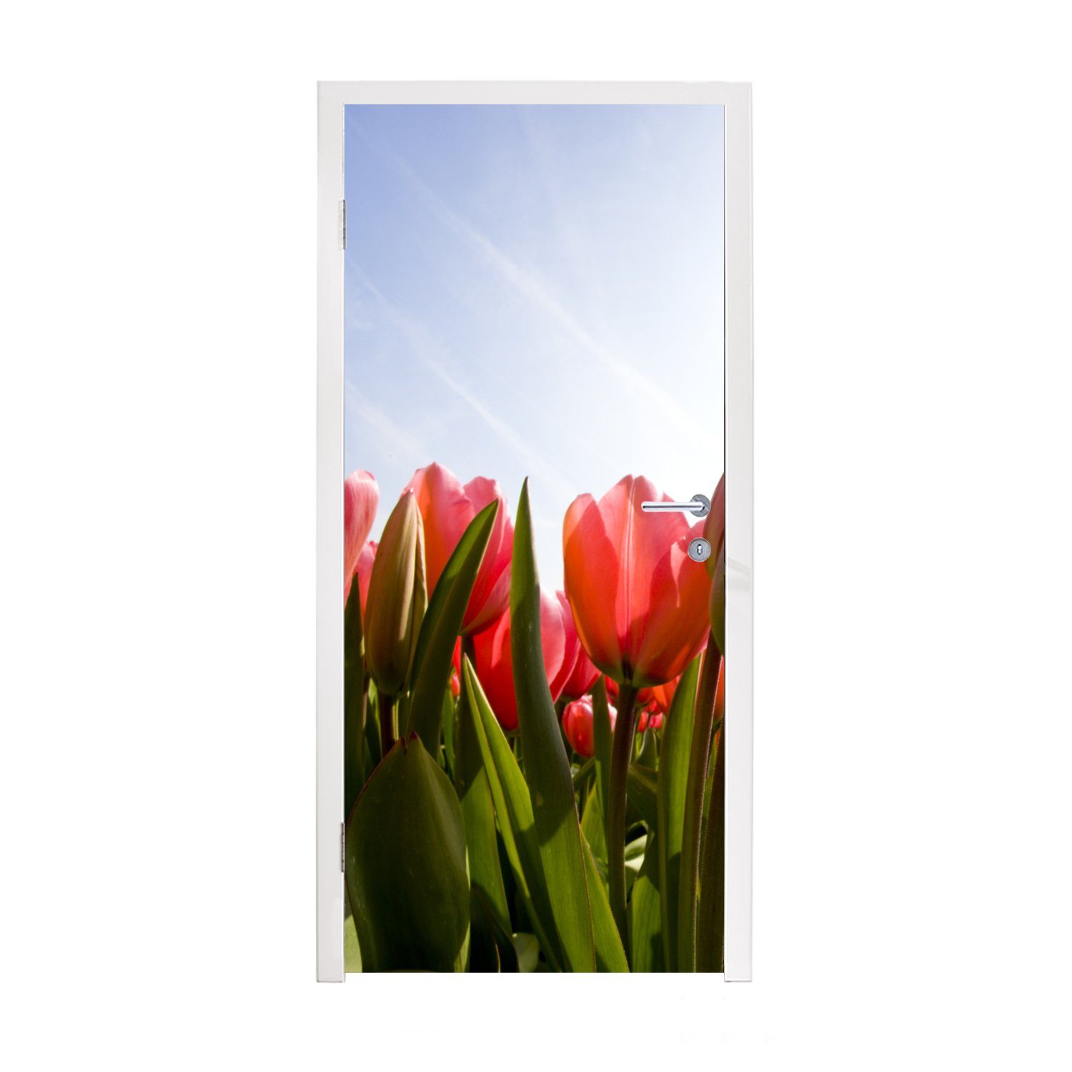 MuchoWow Türtapete Rote Tulpen und das Sonnenlicht, Matt, bedruckt, (1 St), Fototapete für Tür, Türaufkleber, 75x205 cm