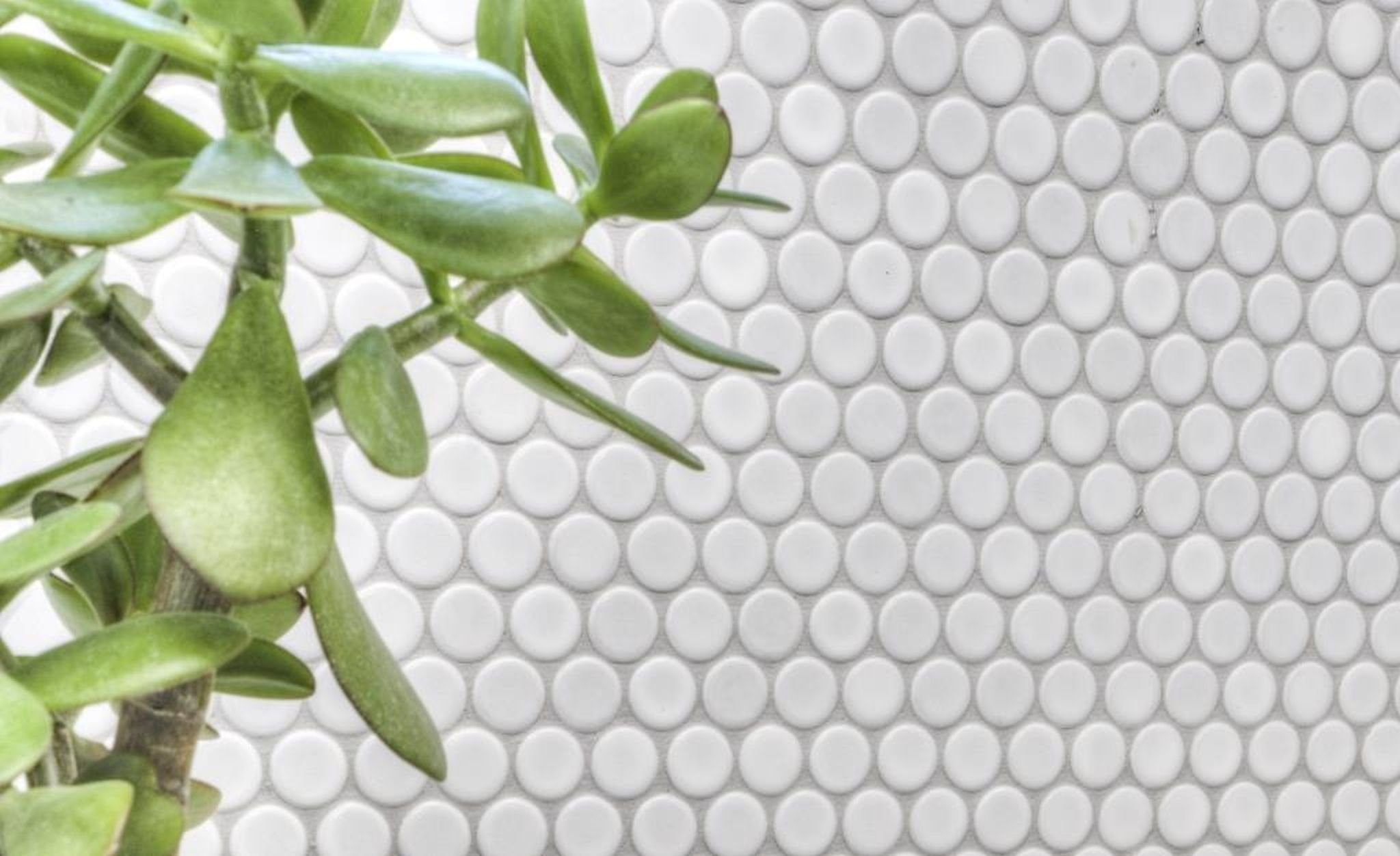 Rundmosaik 32x30.5, Bodenfliese Bodengeeignet matt Knopfmosaik Wand Weiß, Dusche, Küche LOOP Keramik weiß Mosani Frostbeständig